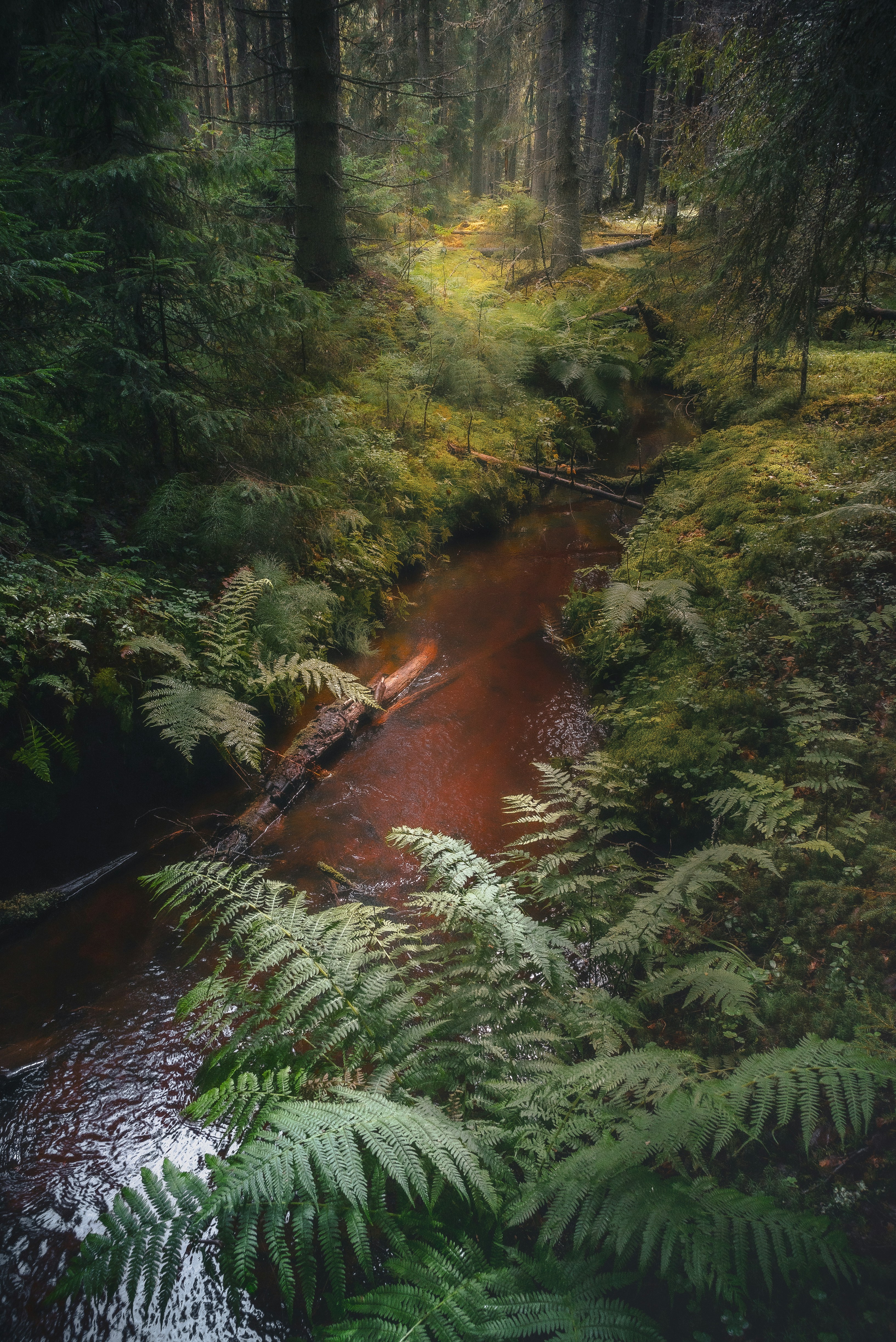 "Stability is the goal of IT operations, but anomalies are the daily reality." 