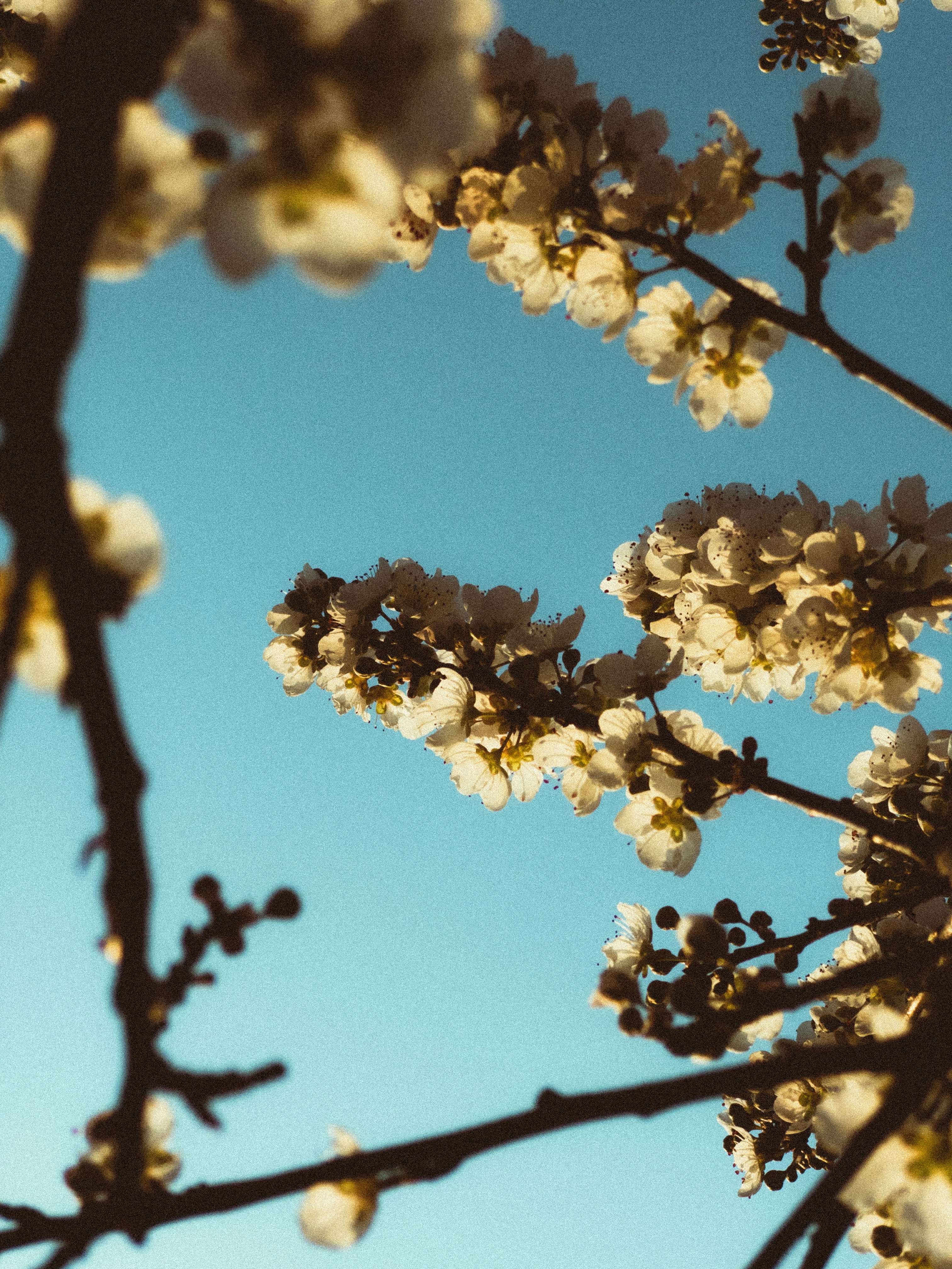 Photo by aayush_khokhar