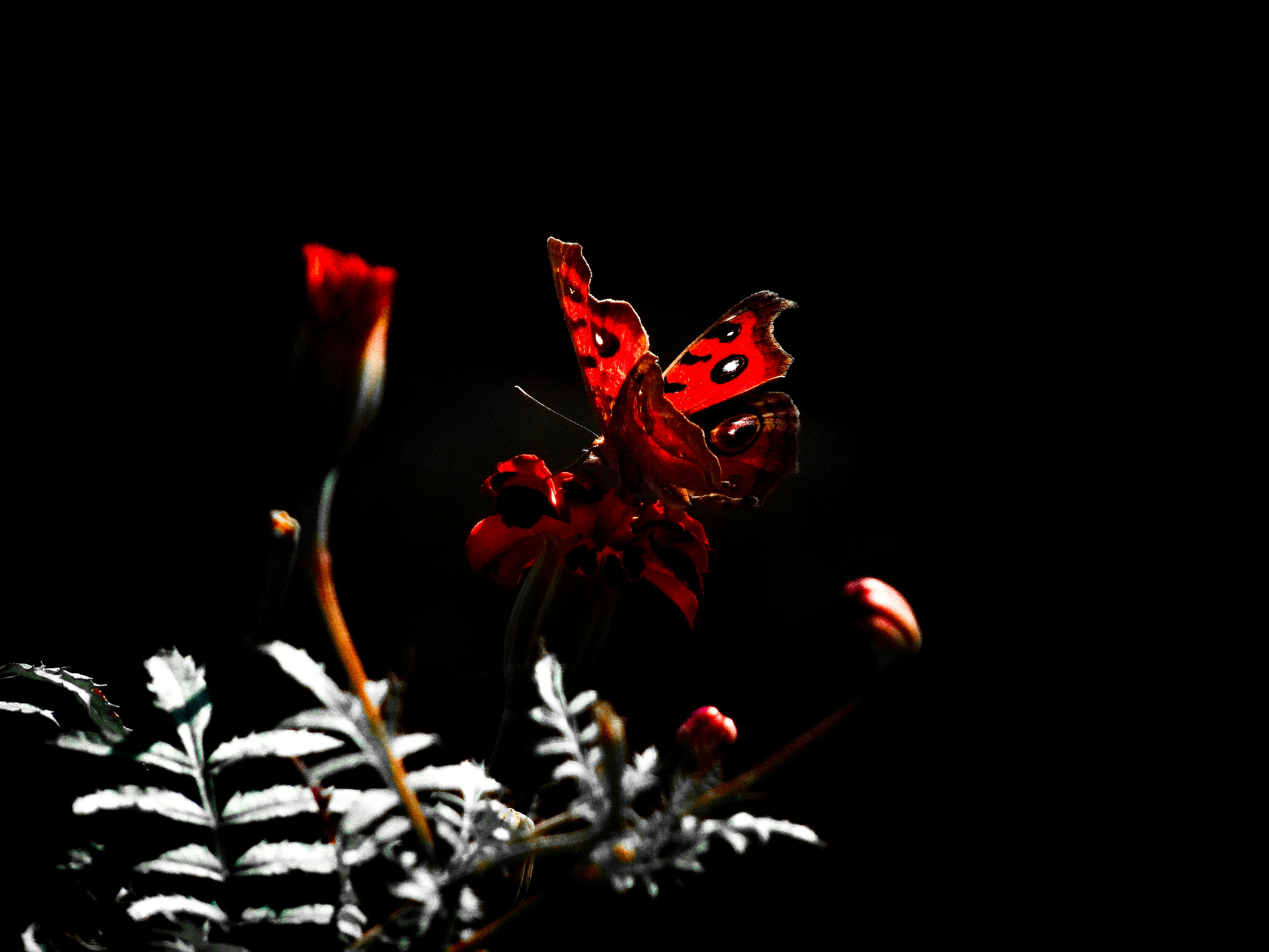 Photo by aayush_khokhar