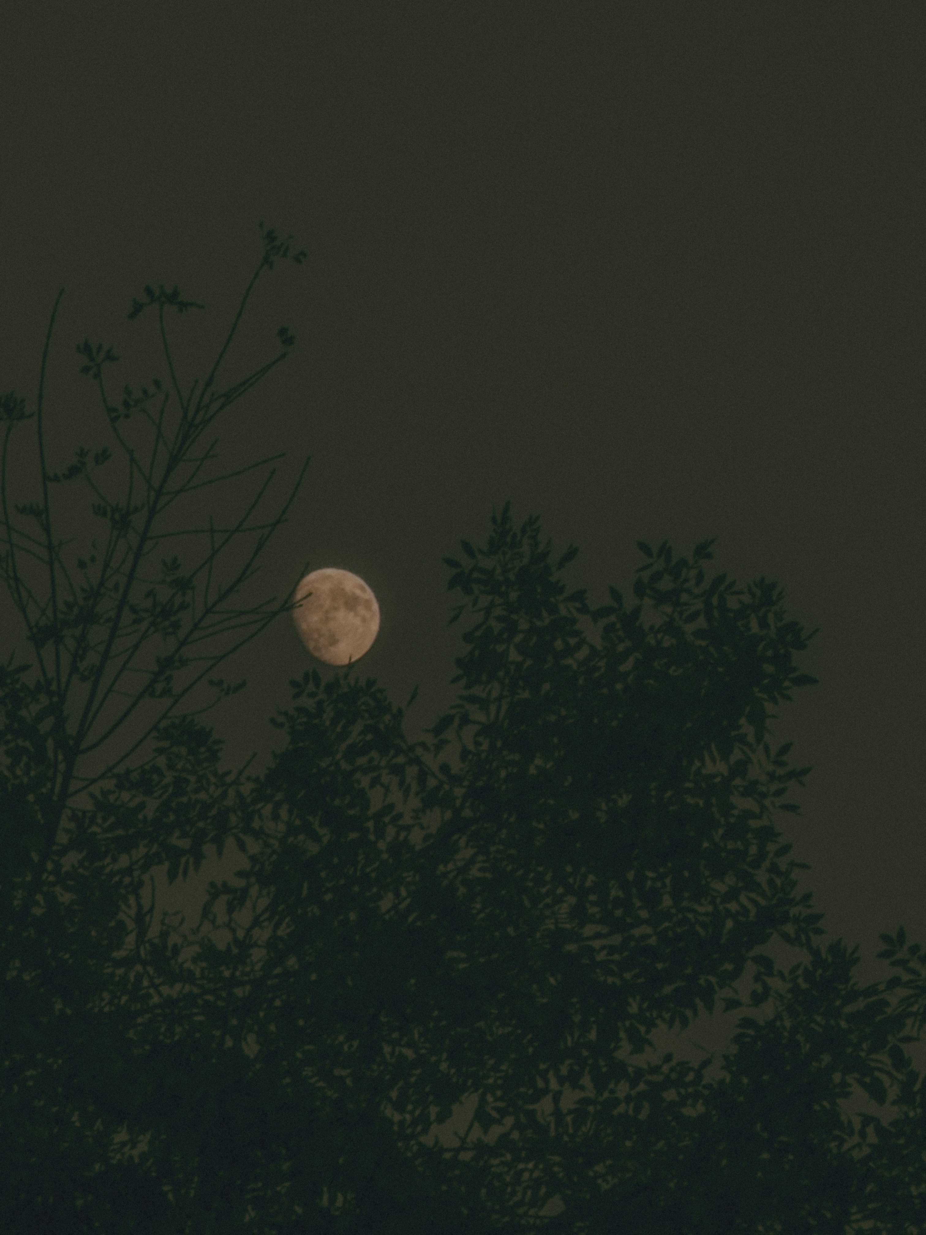 Photo by aayush_khokhar