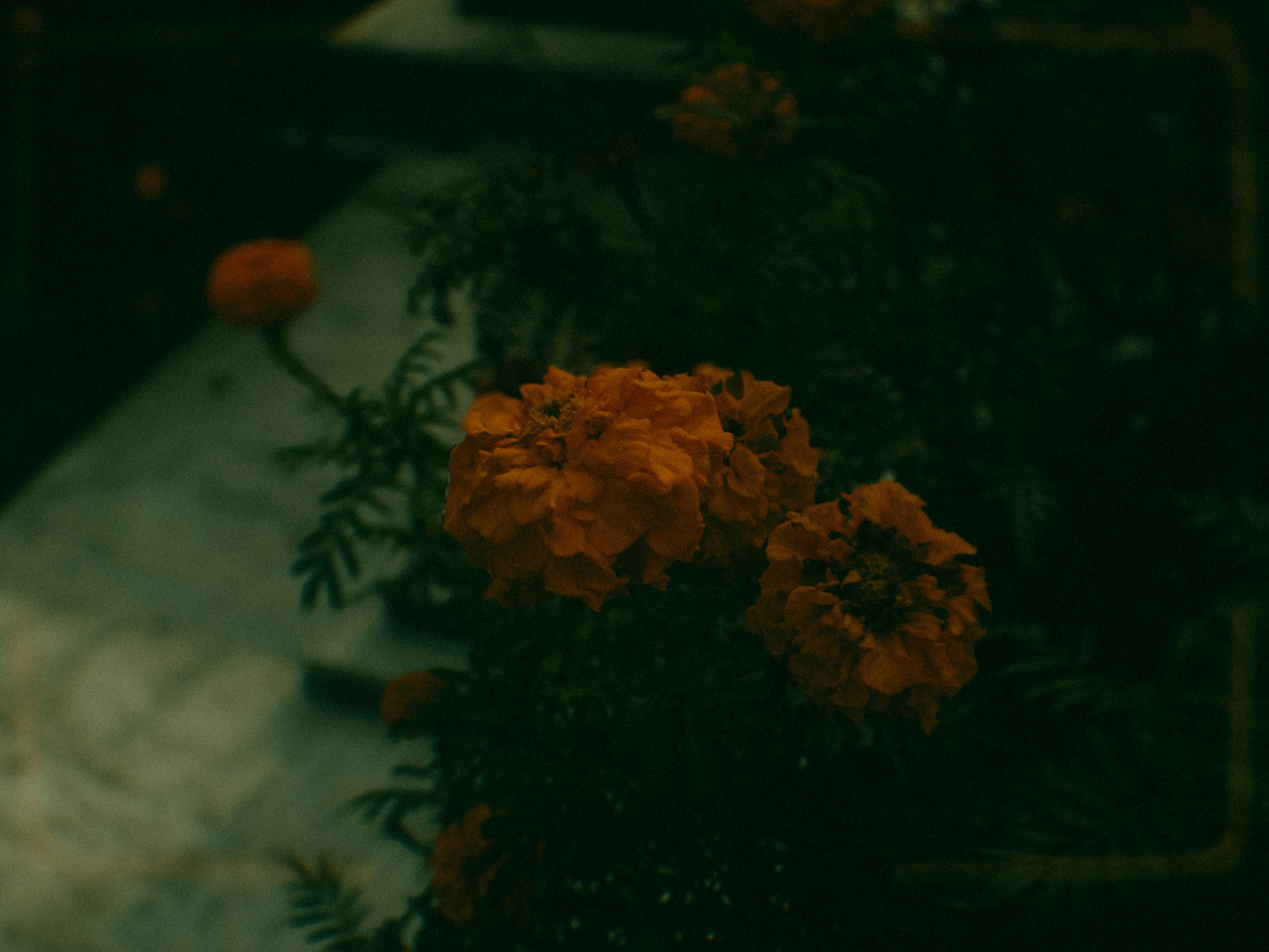 Photo by aayush_khokhar