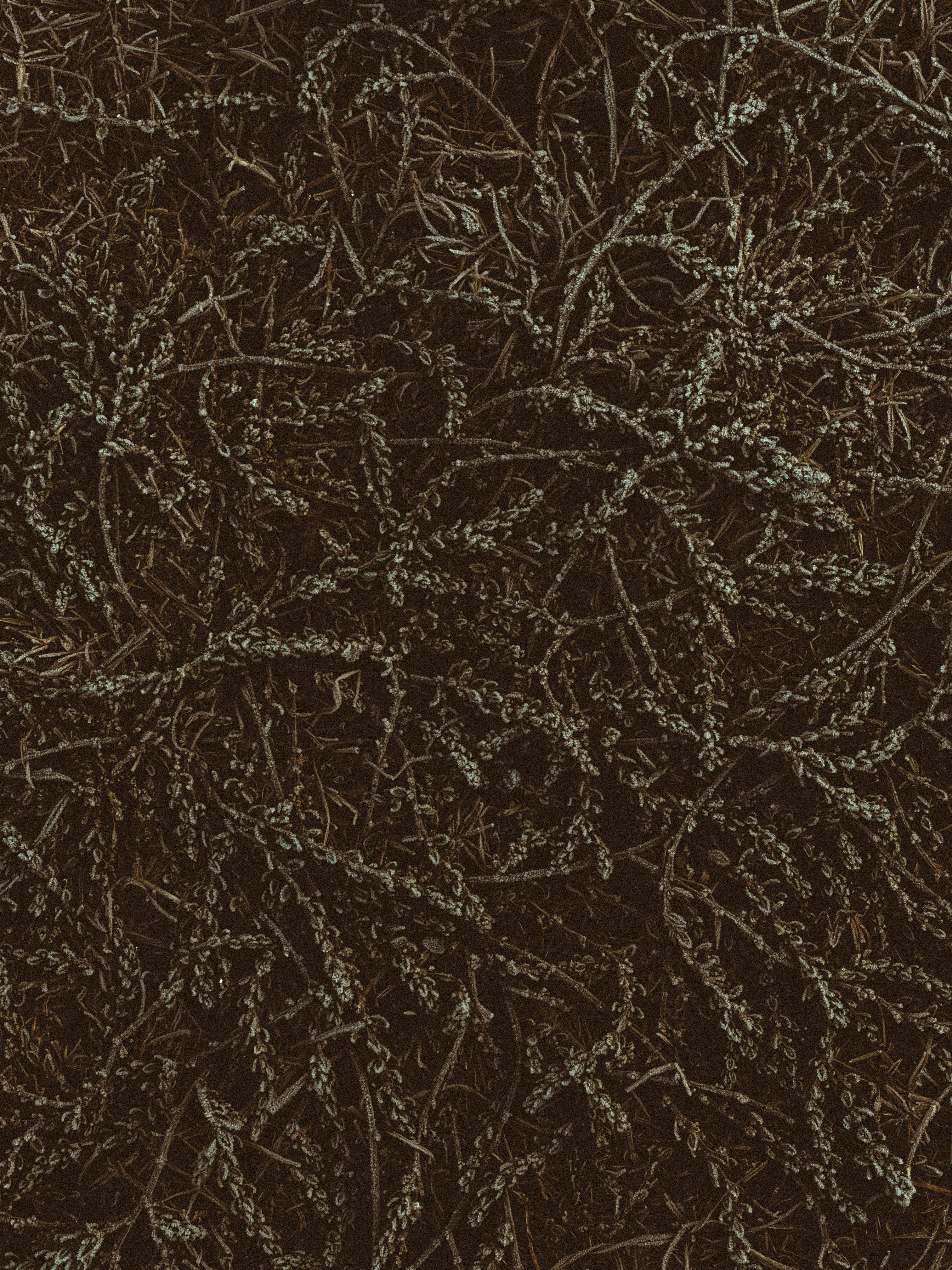 Photo by aayush_khokhar