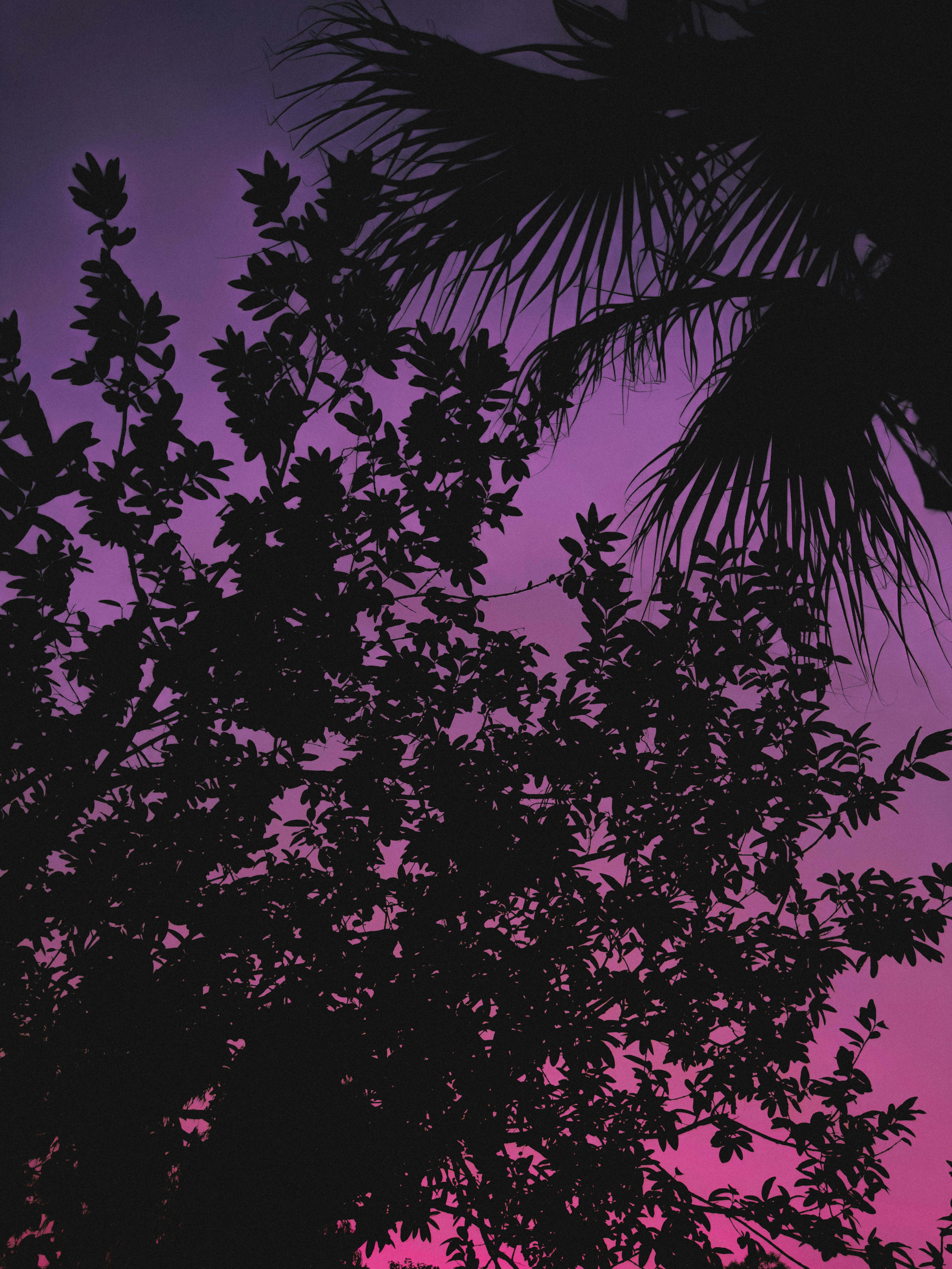 Photo by aayush_khokhar