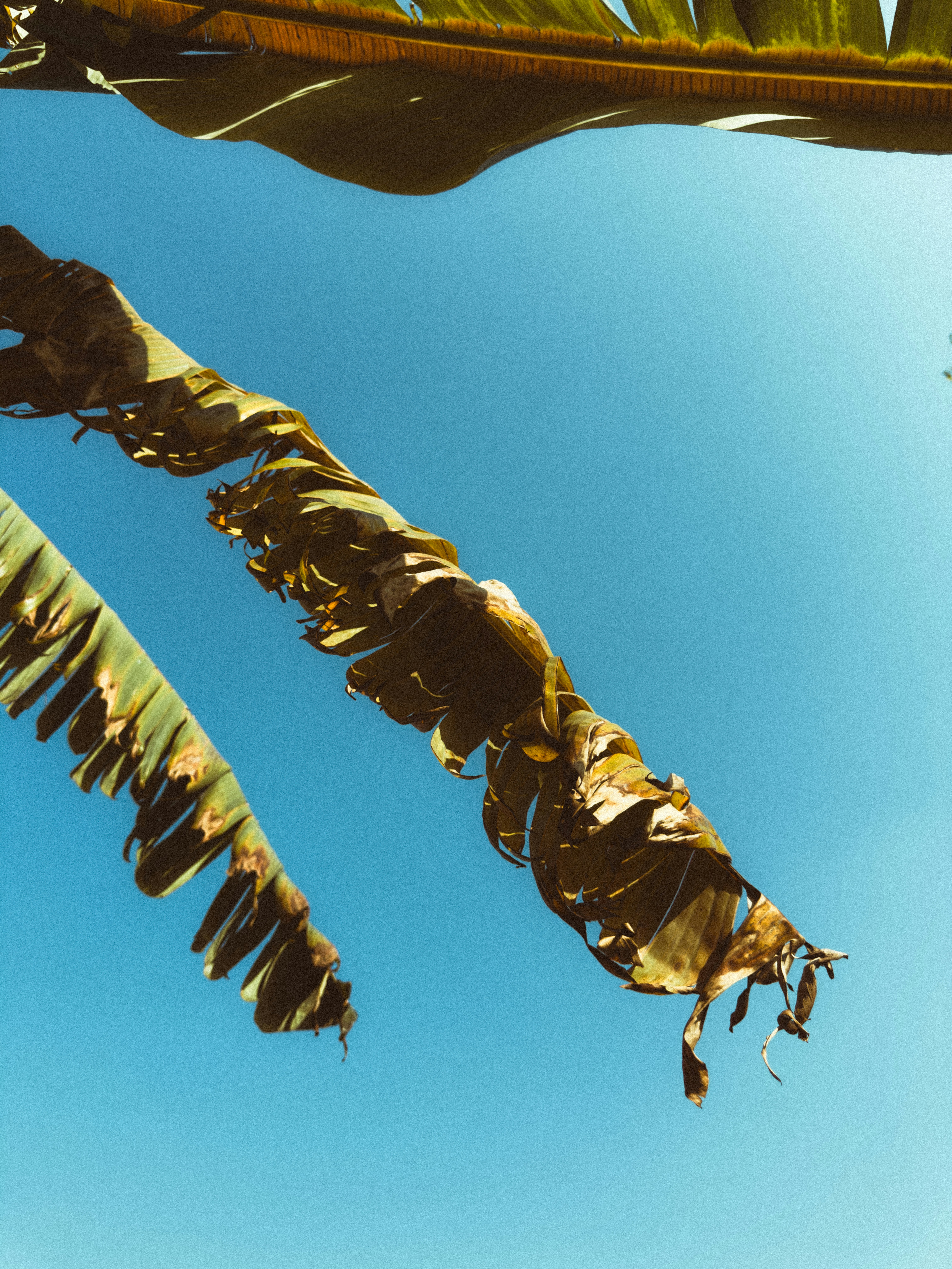 Photo by aayush_khokhar