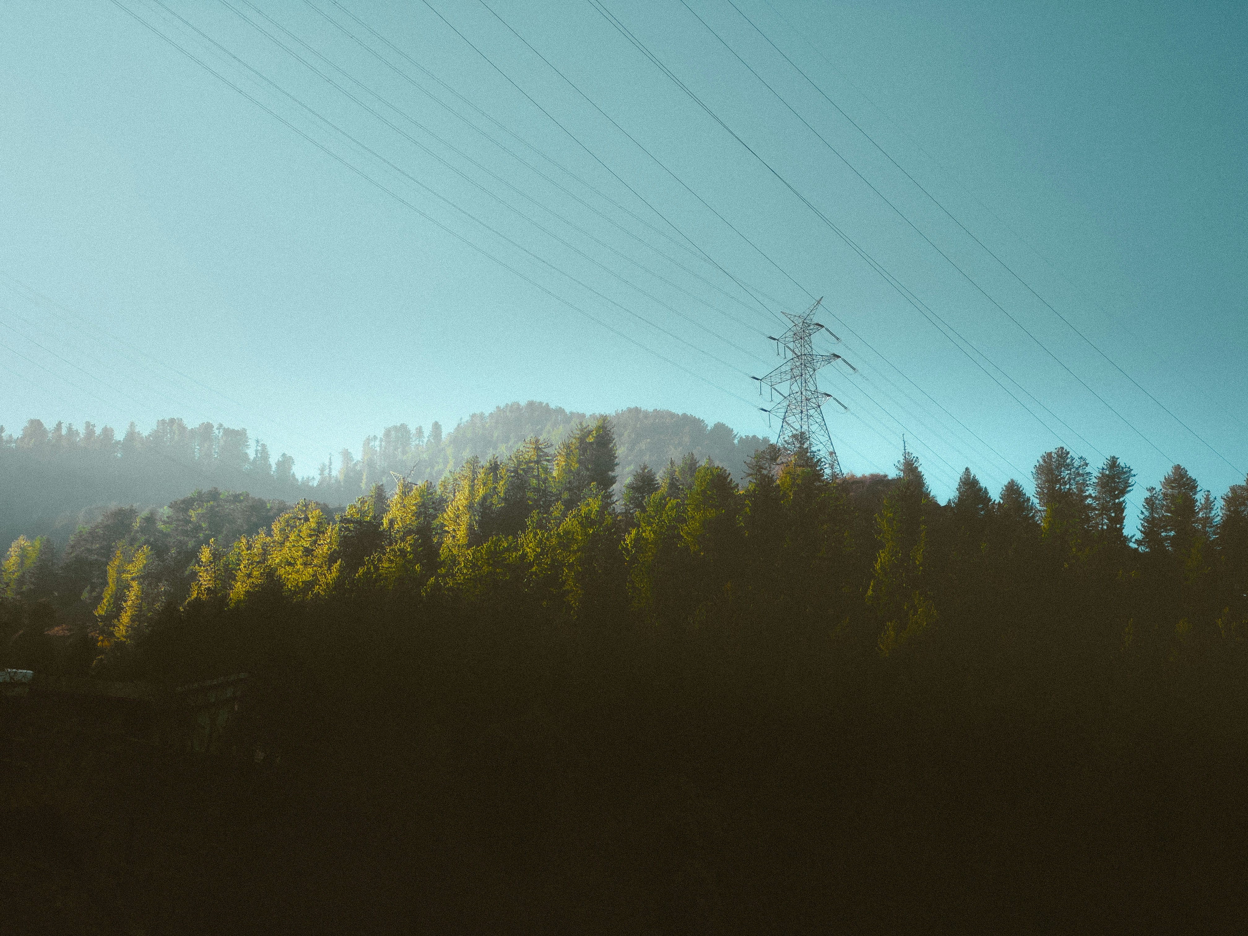 Photo by aayush_khokhar