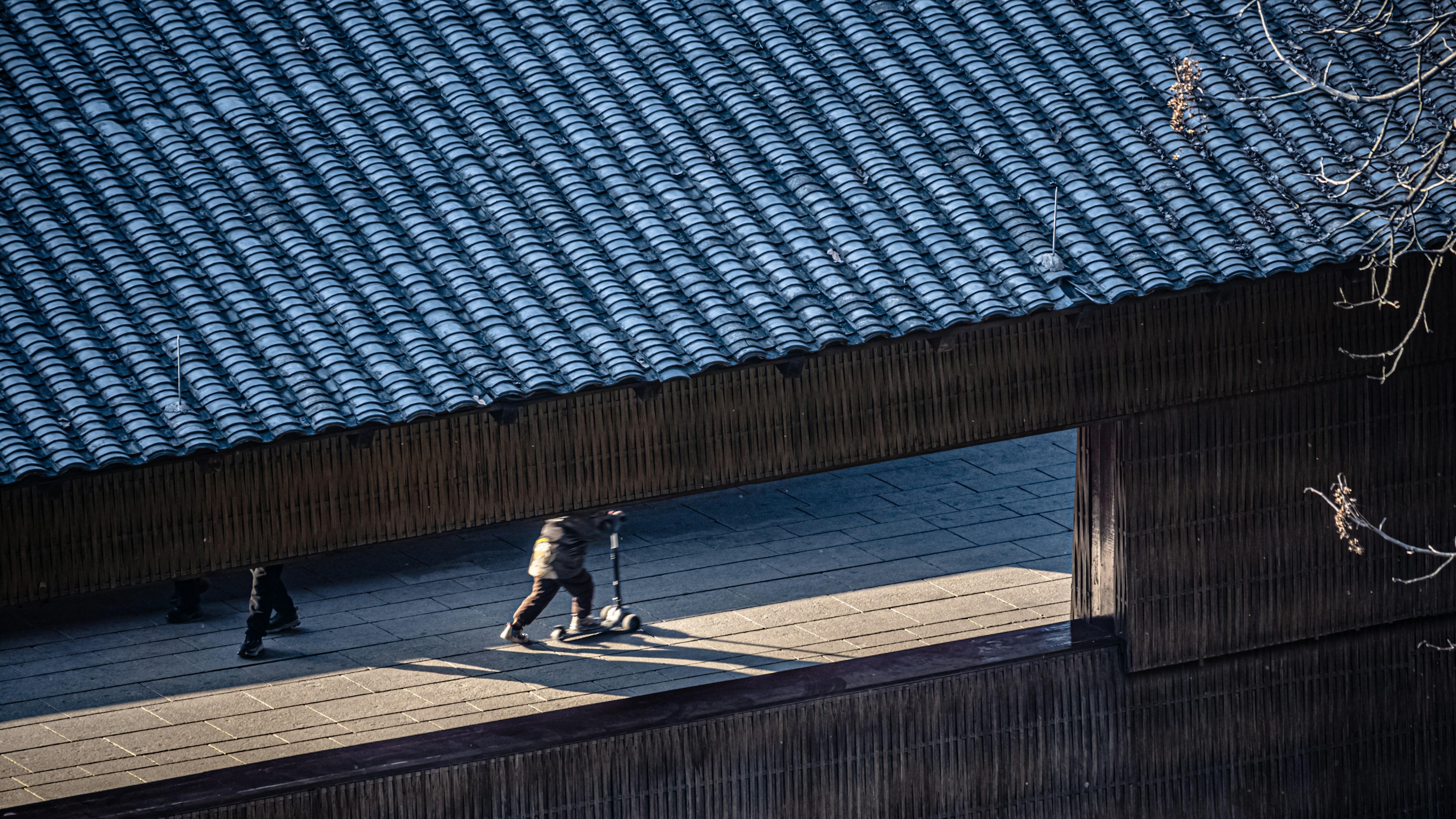 zilo yang (@yangzilo) | Komunitas Foto Unsplash