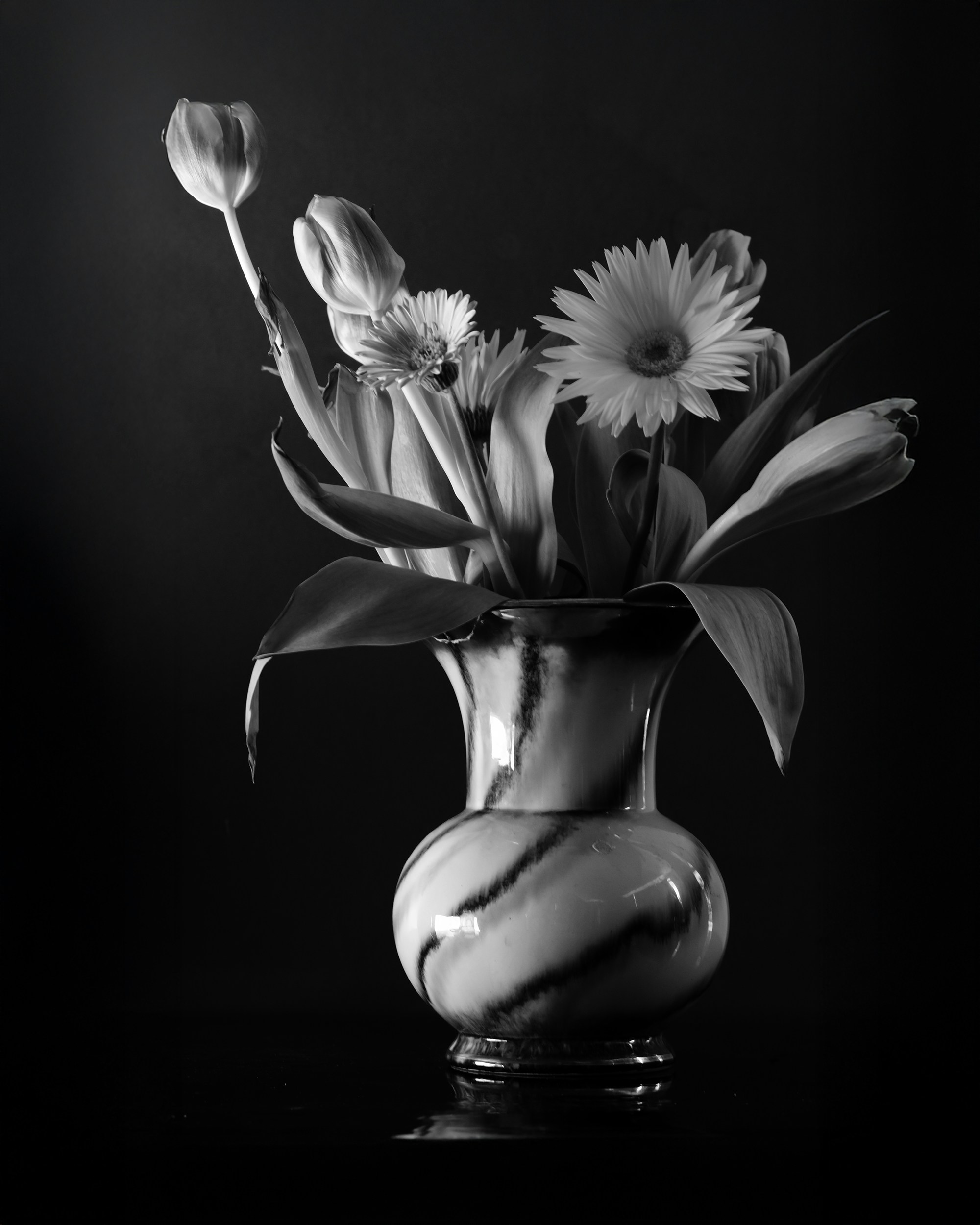 Photo by annaflowers24