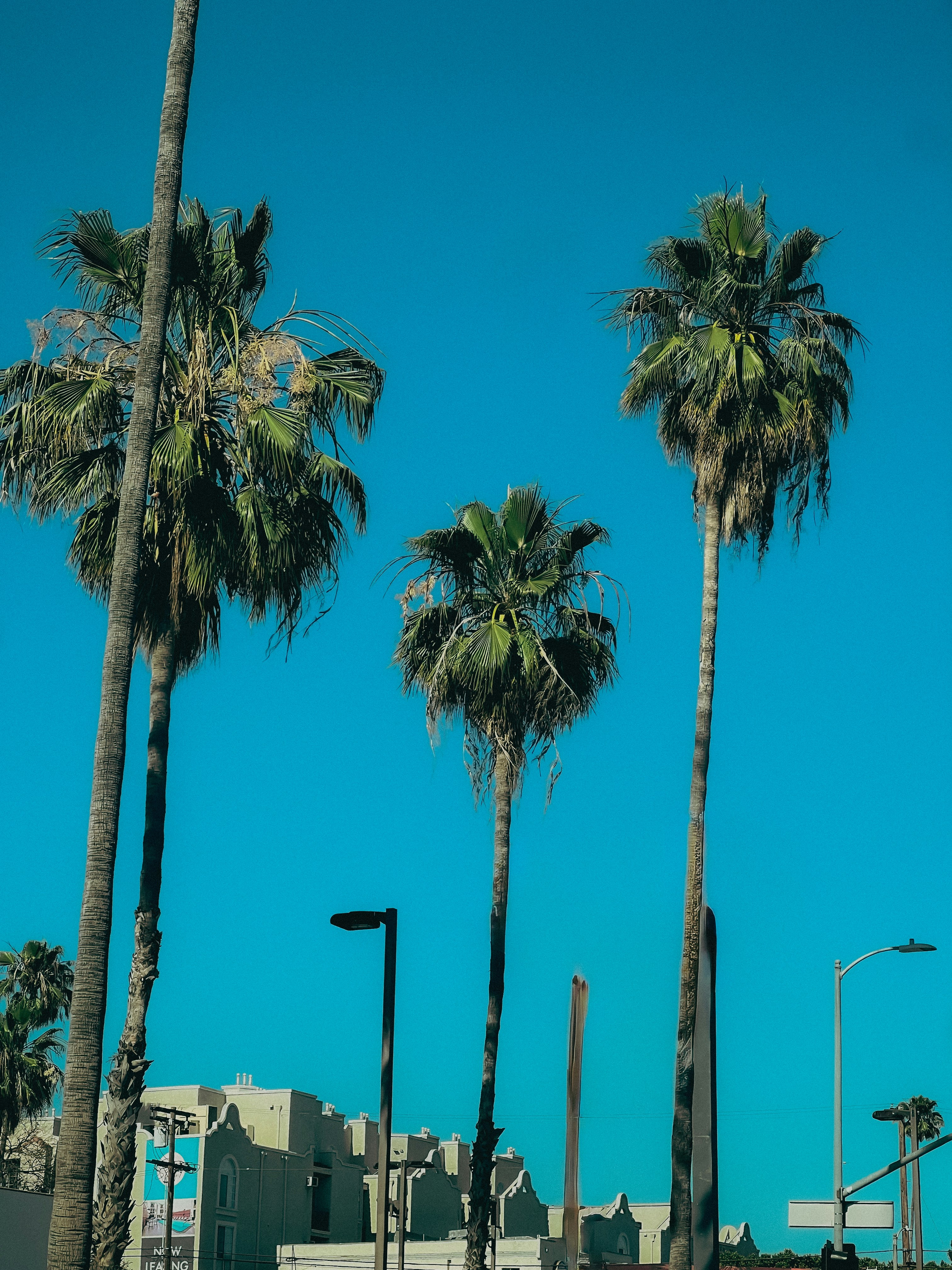 Photo by imightlikelife