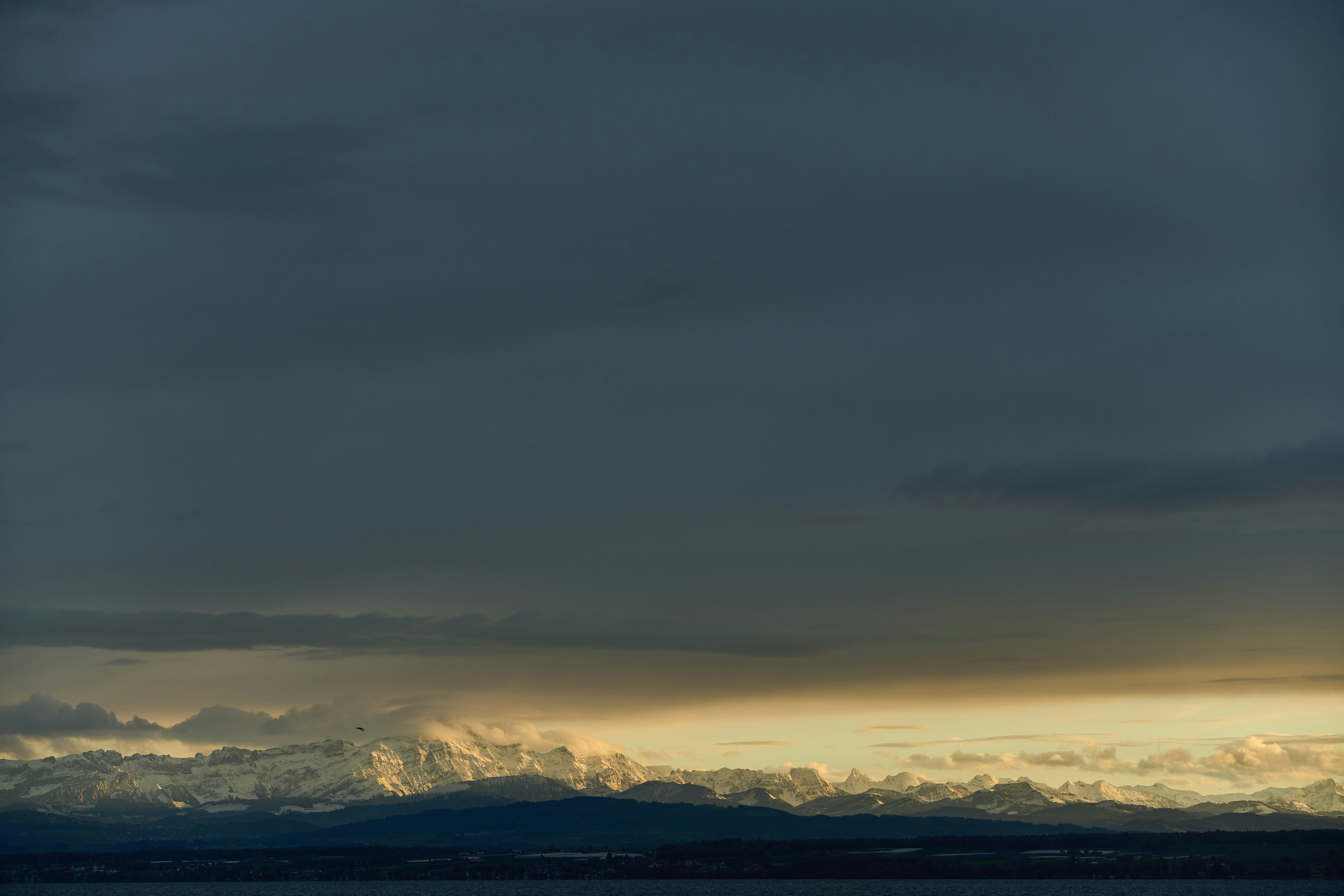 Photo by wolfgang_hasselmann