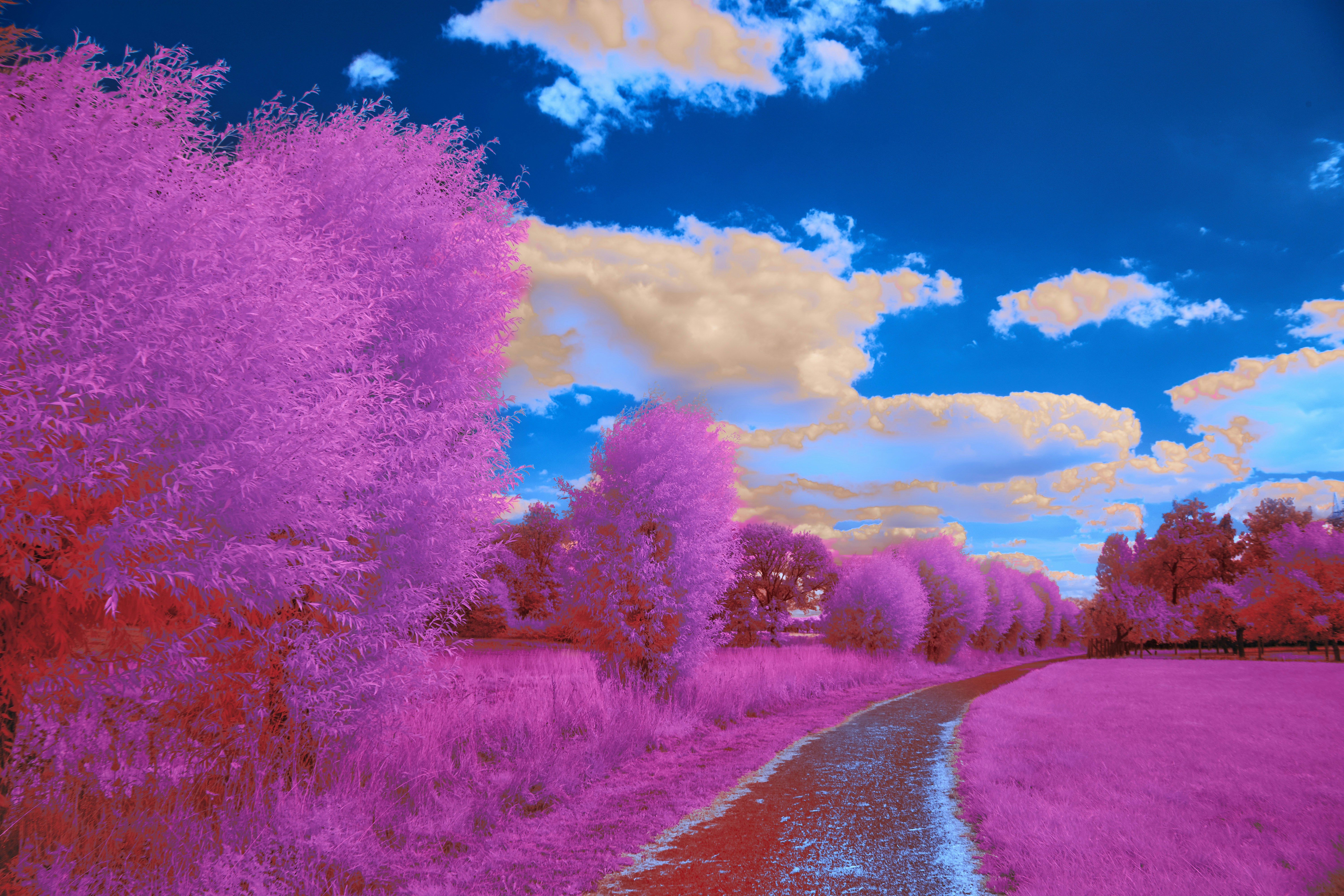 Photo by wolfgang_hasselmann