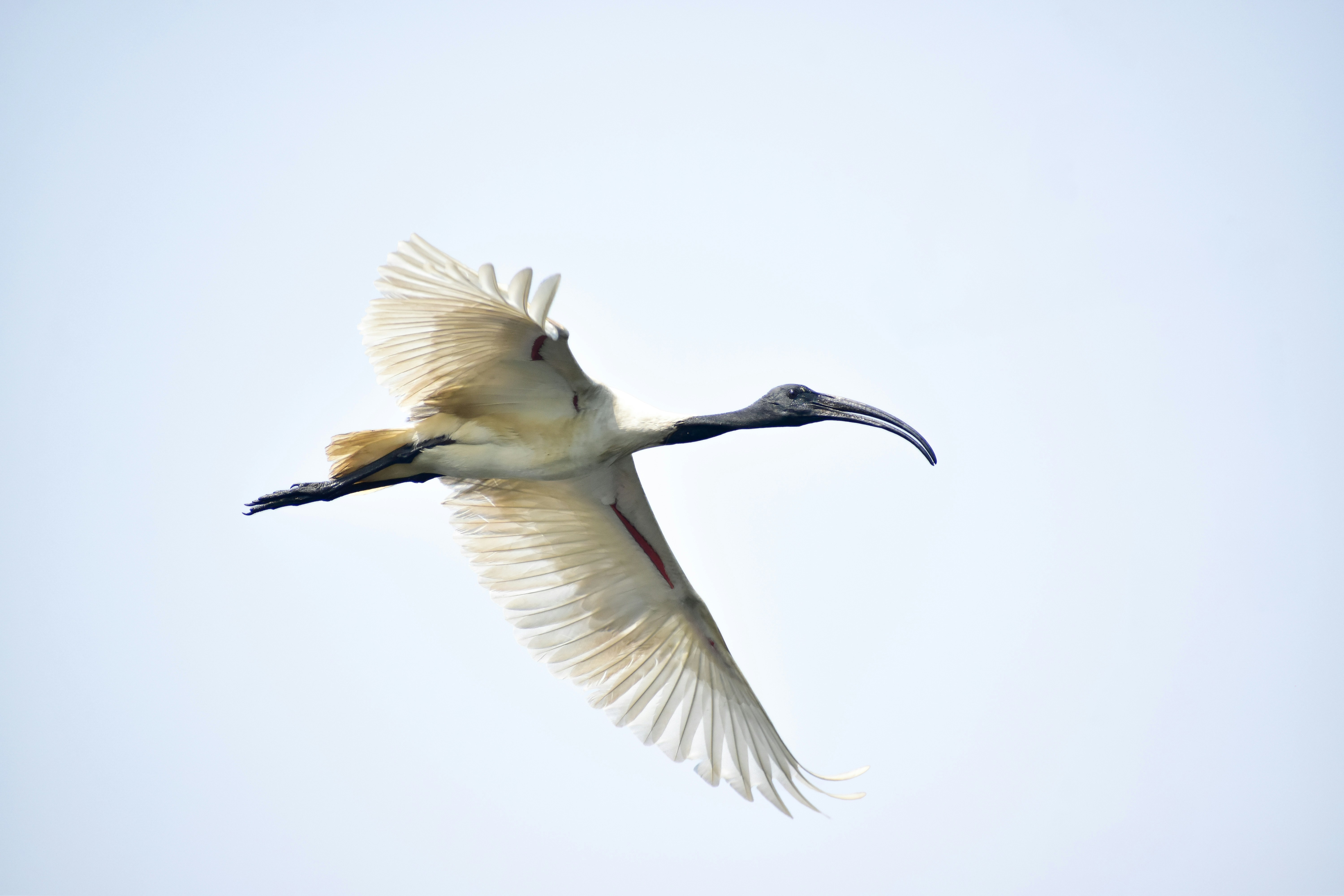 Photo by hacker_camerwork