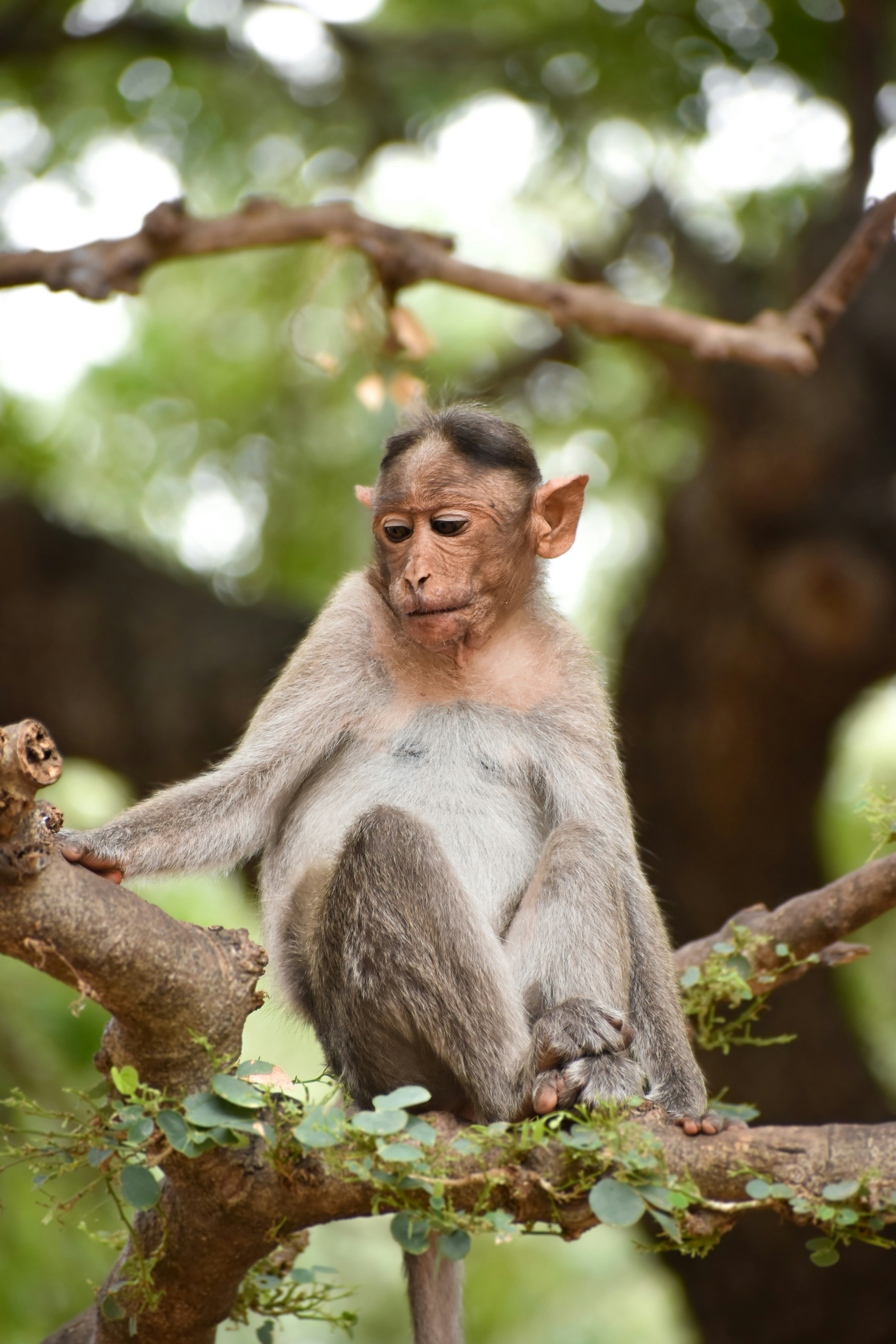 Photo by hacker_camerwork