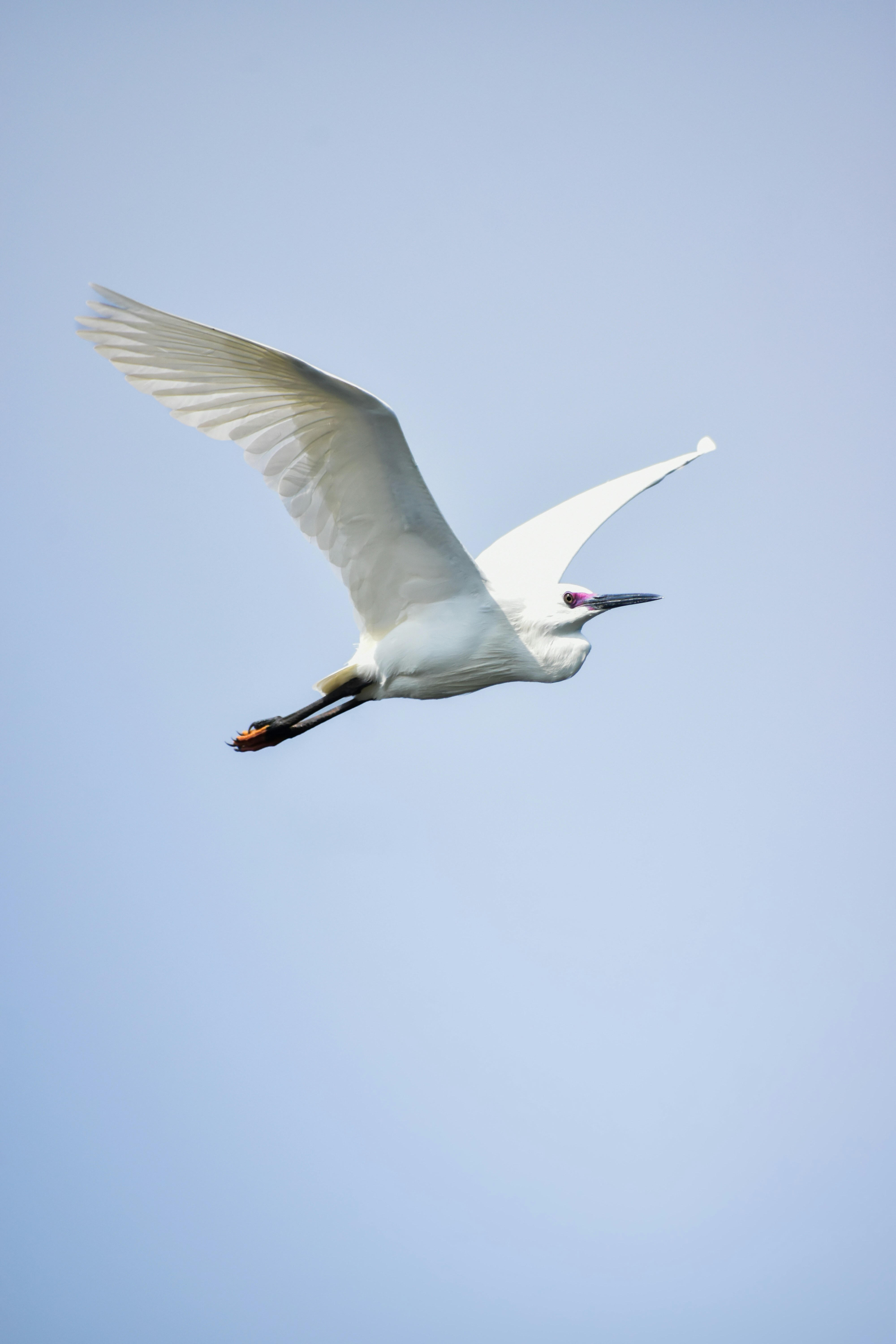 Photo by hacker_camerwork