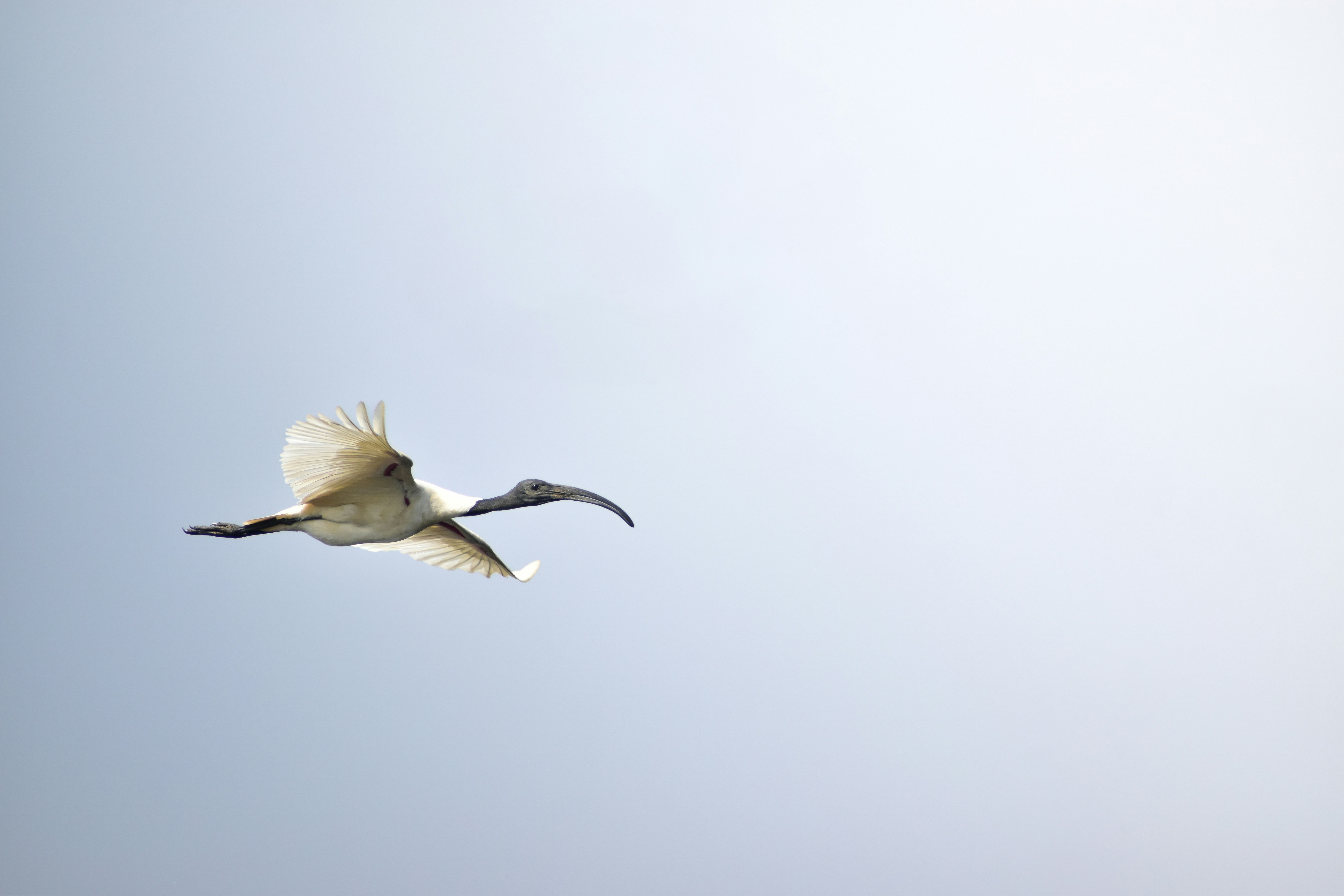 Photo by hacker_camerwork