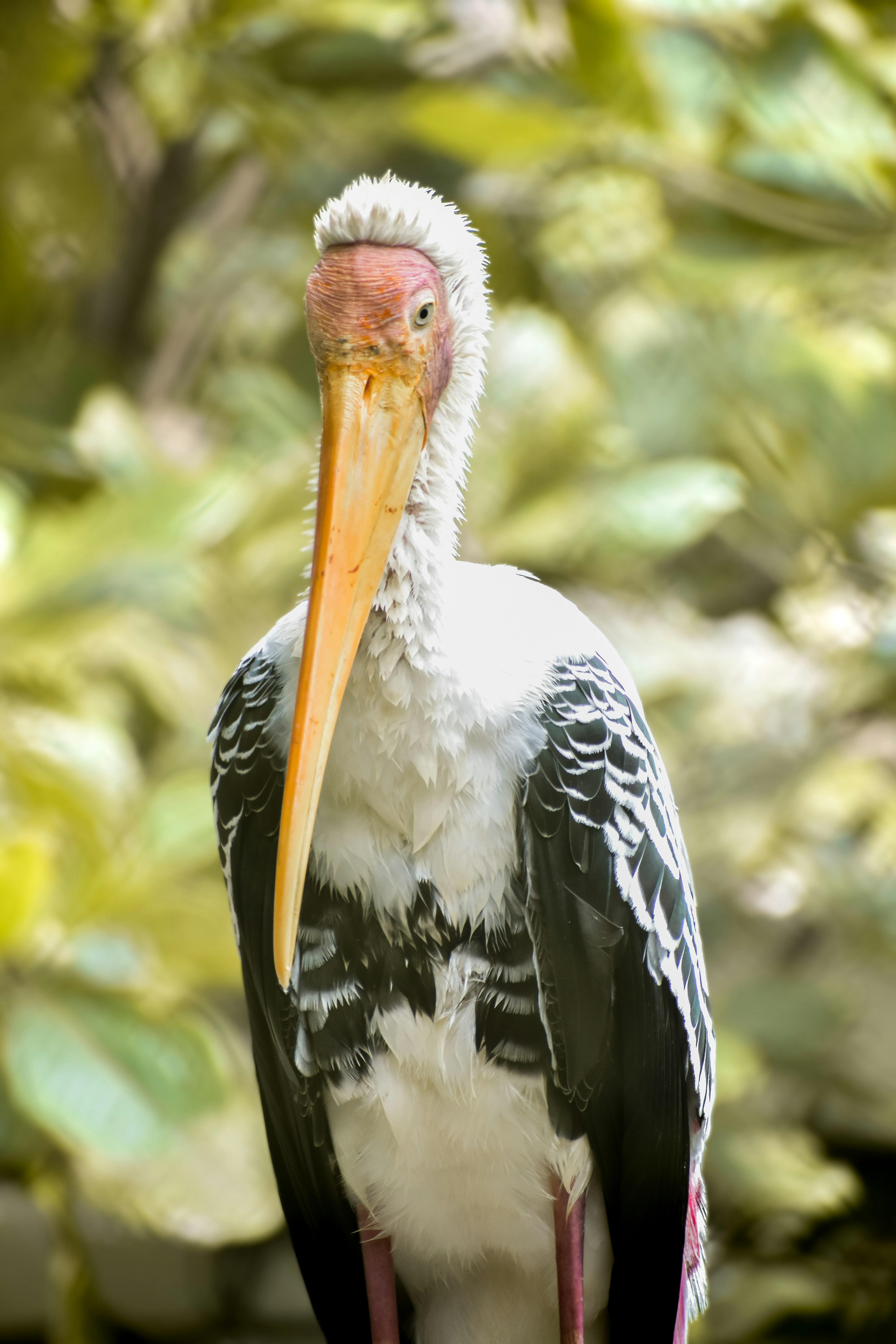 Photo by hacker_camerwork