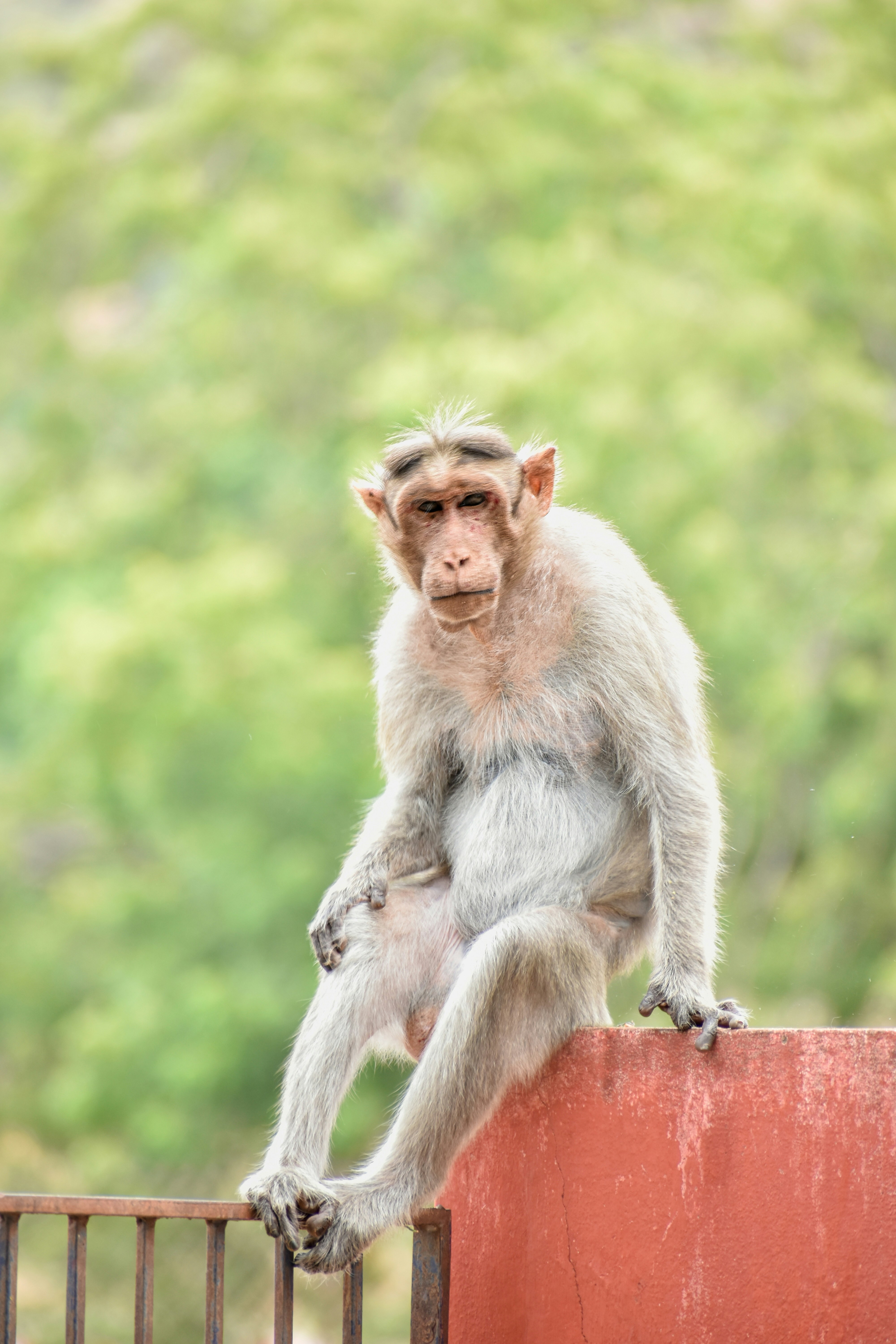 Photo by hacker_camerwork