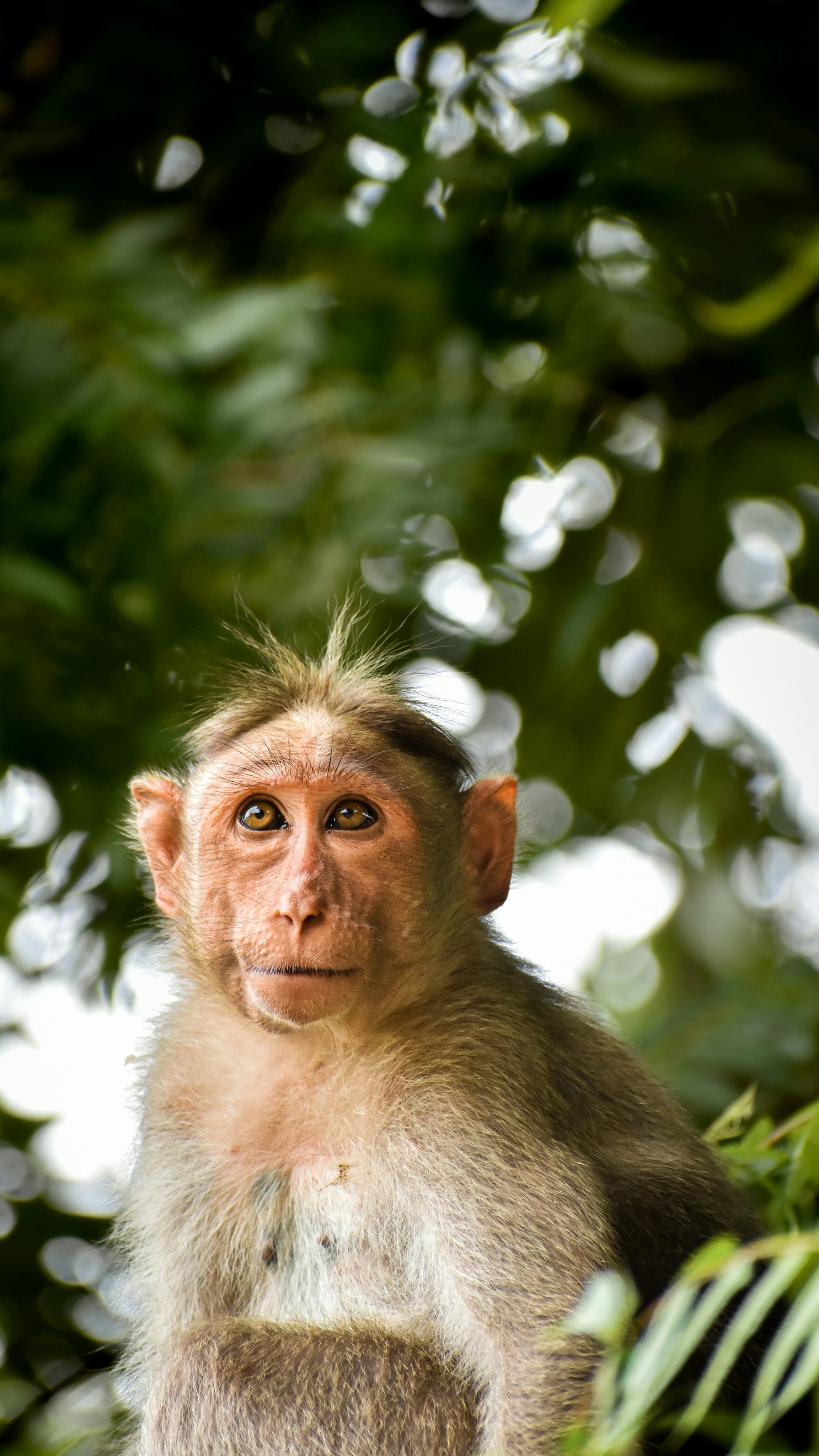 Photo by hacker_camerwork