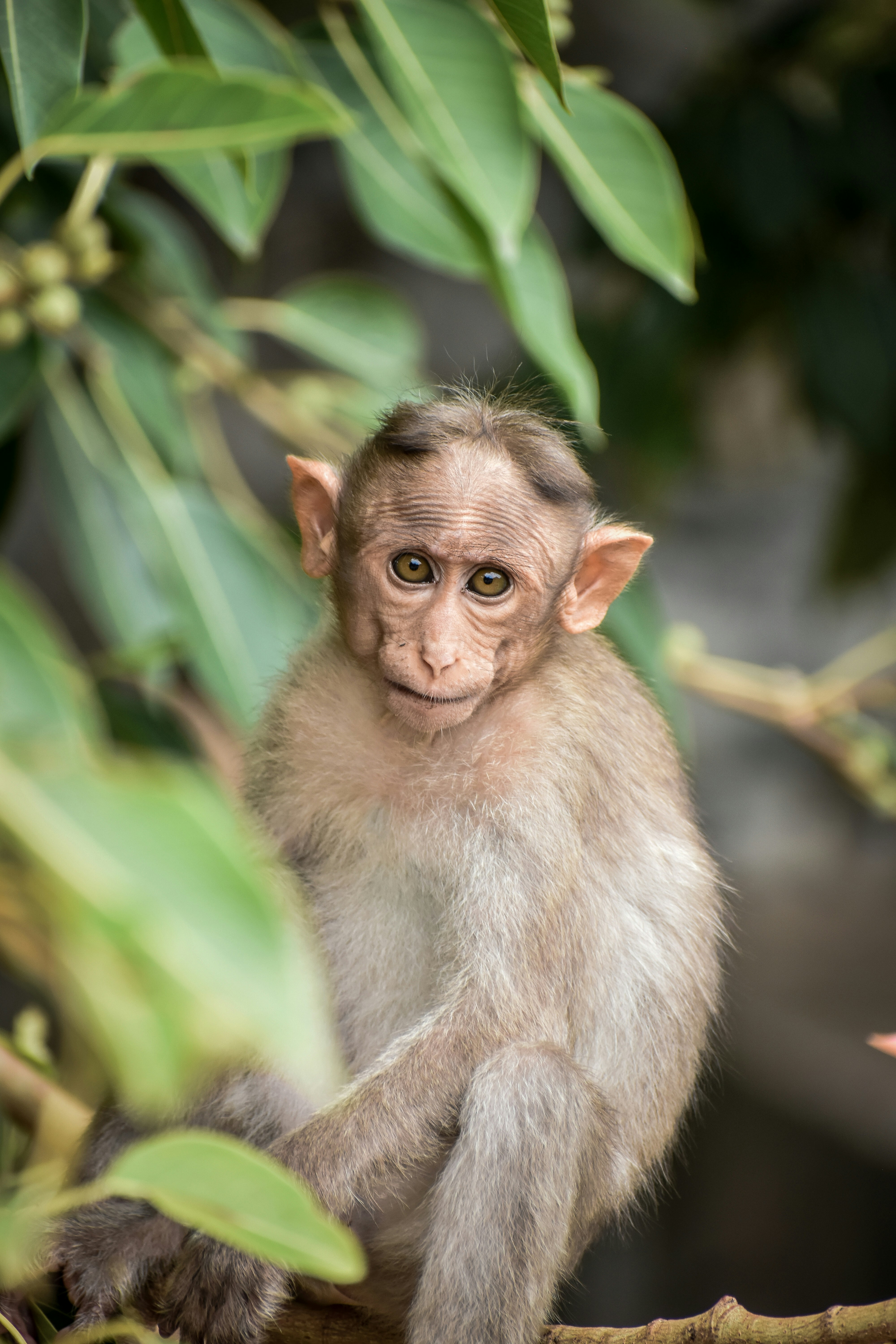 Photo by hacker_camerwork