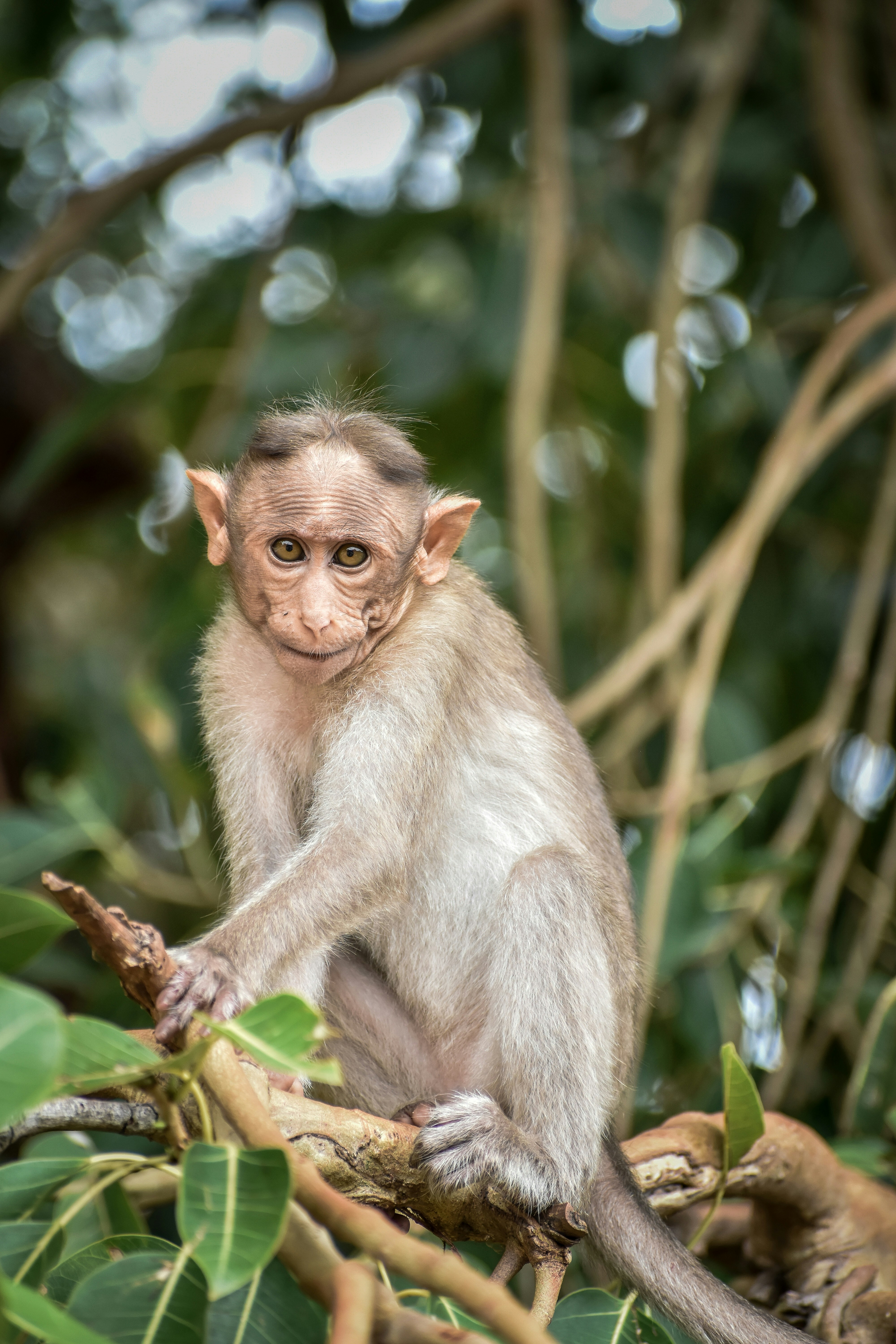 Photo by hacker_camerwork