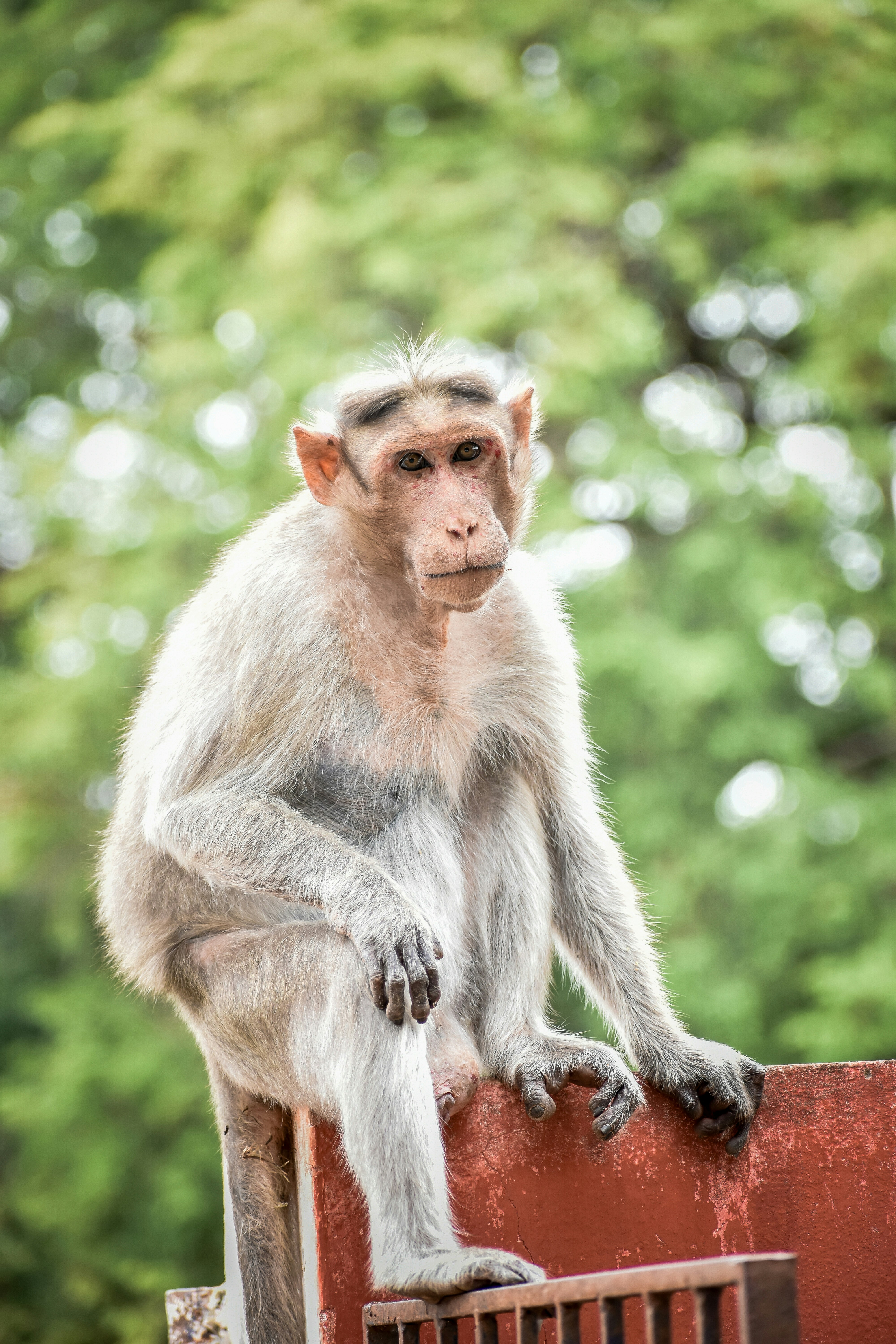 Photo by hacker_camerwork