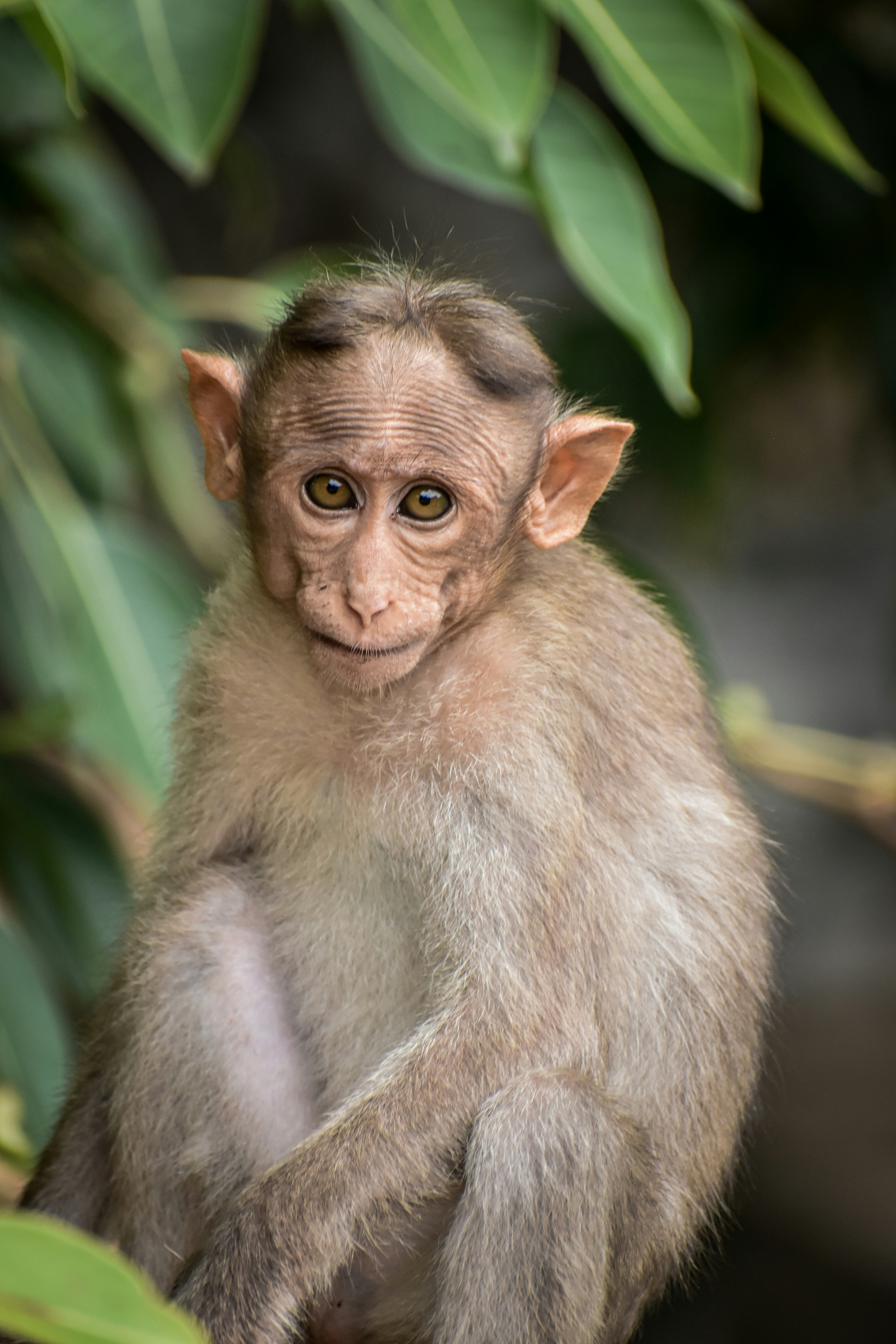 Photo by hacker_camerwork