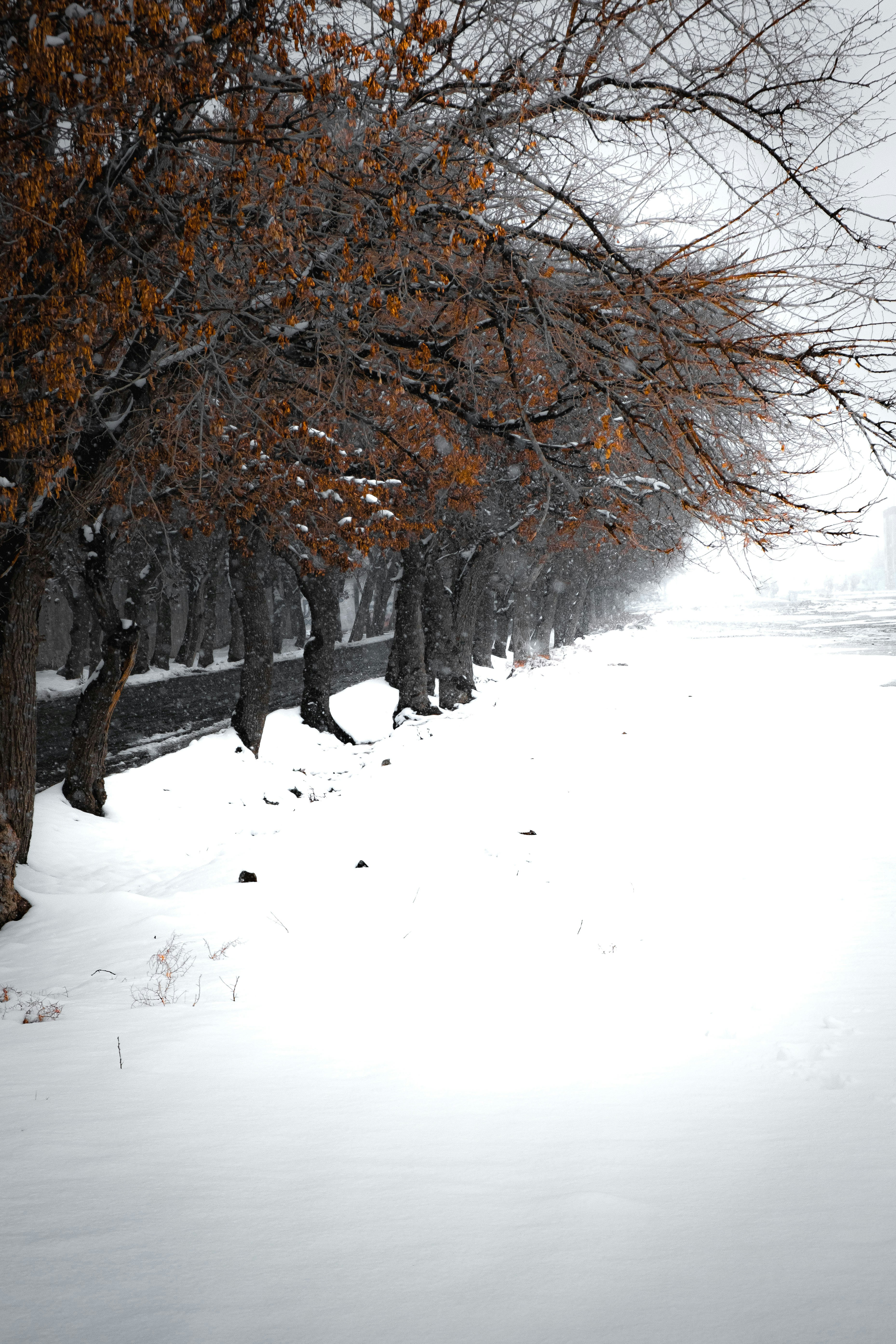 A person riding a snowboard down a snow covered road