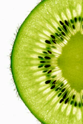 A kiwi fruit cut in half on a white background