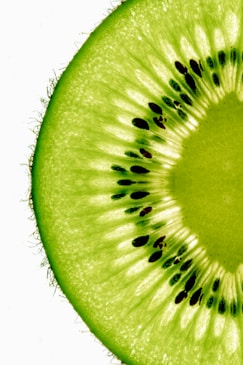 A kiwi fruit cut in half on a white background