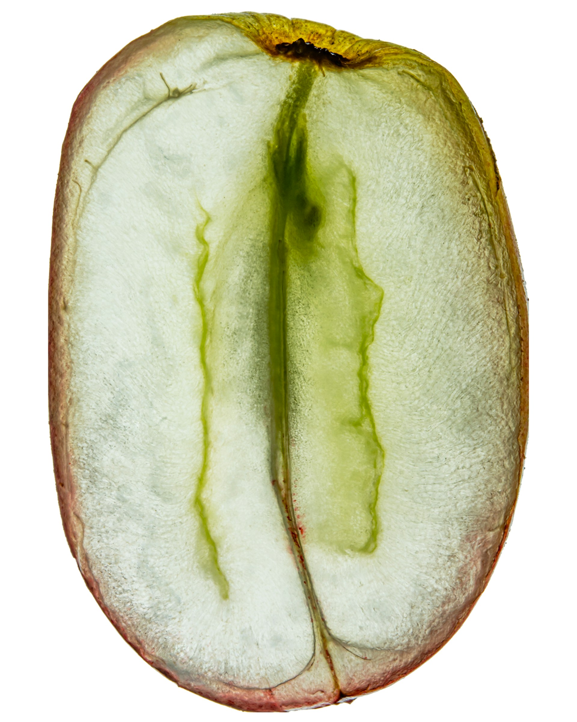 An apple cut in half with a bite taken out of it