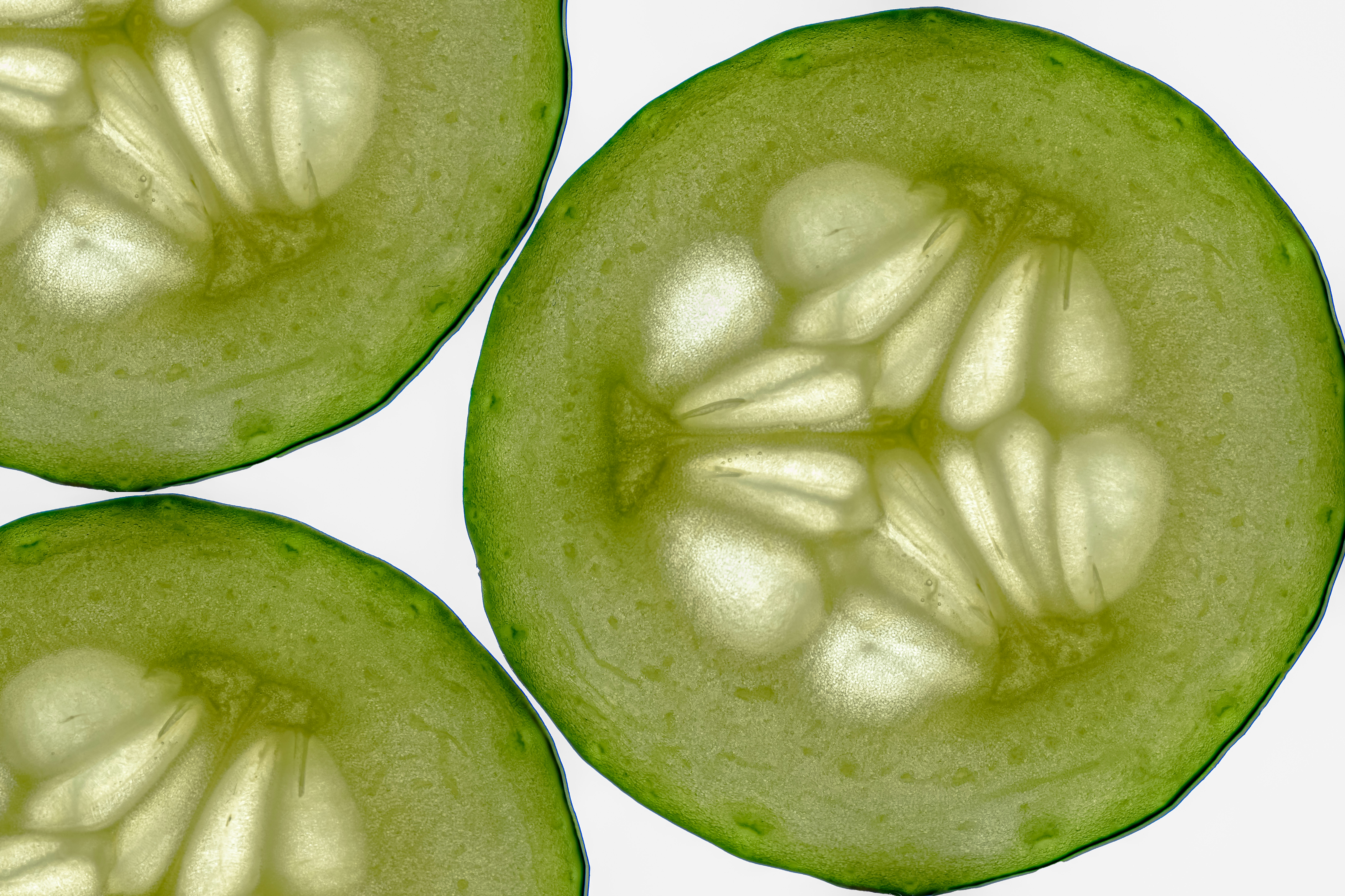 Three slices of a cucumber with a white background