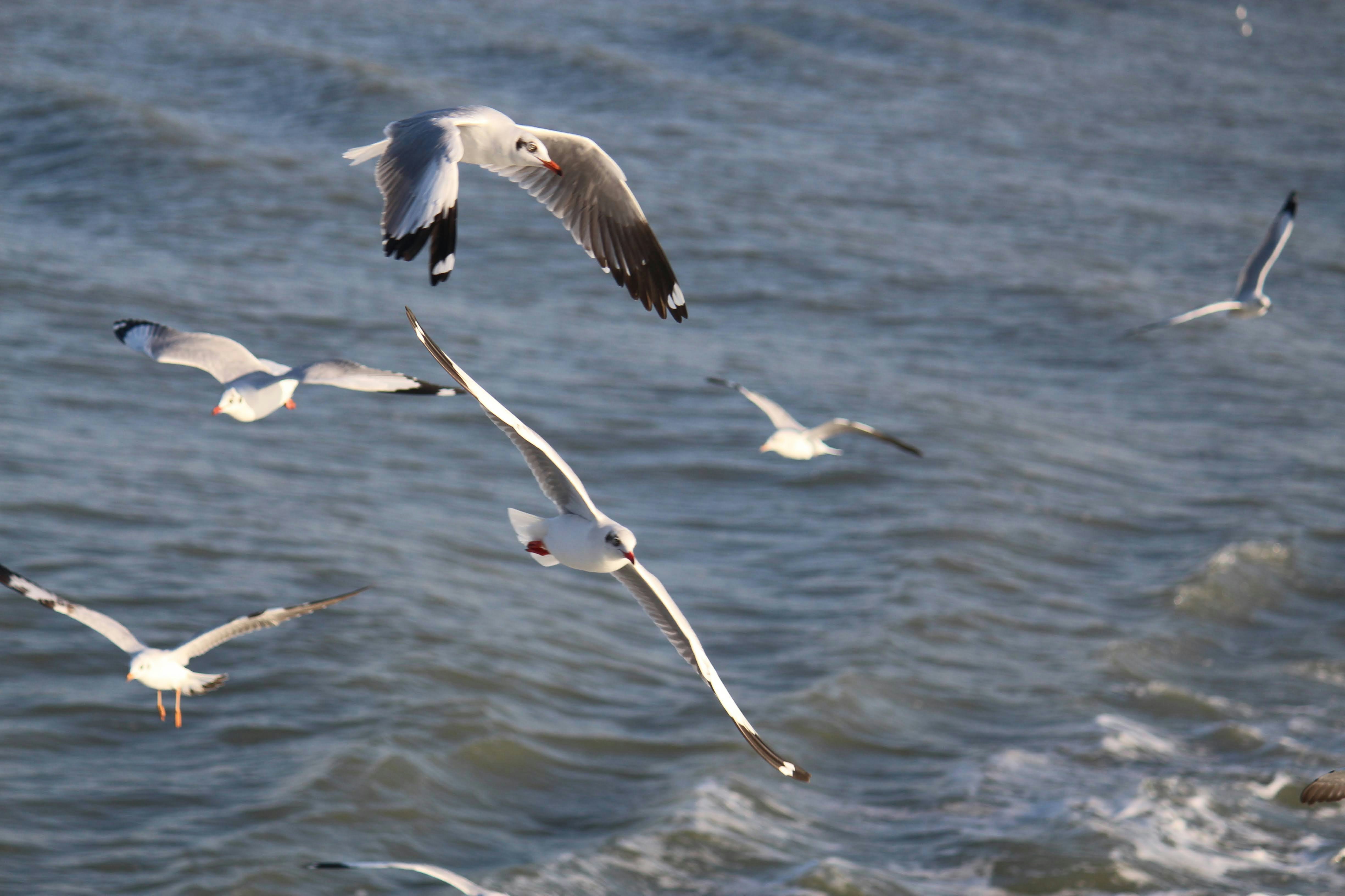 Photo by foysalahmed09