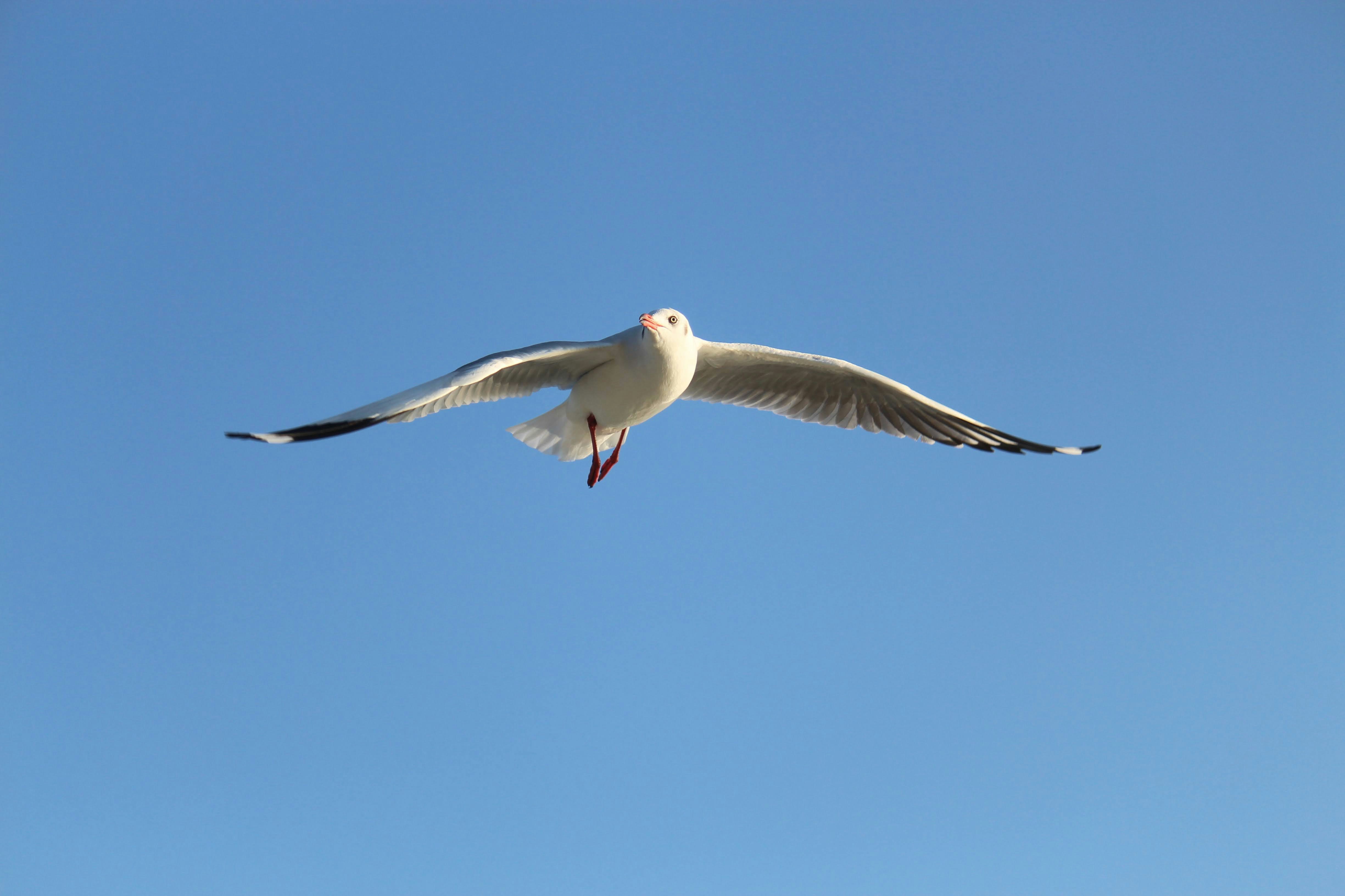 Photo by foysalahmed09