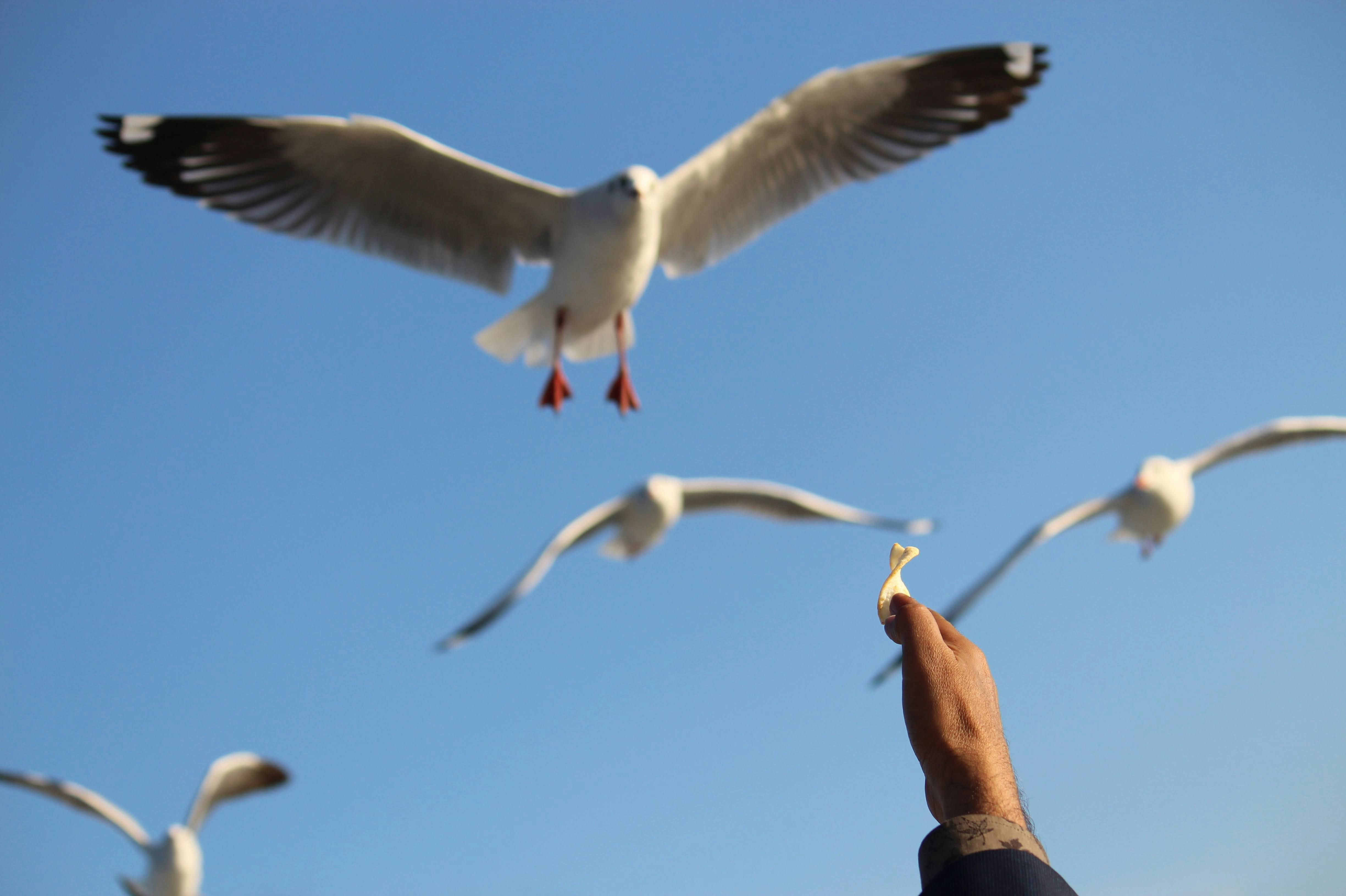 Photo by foysalahmed09