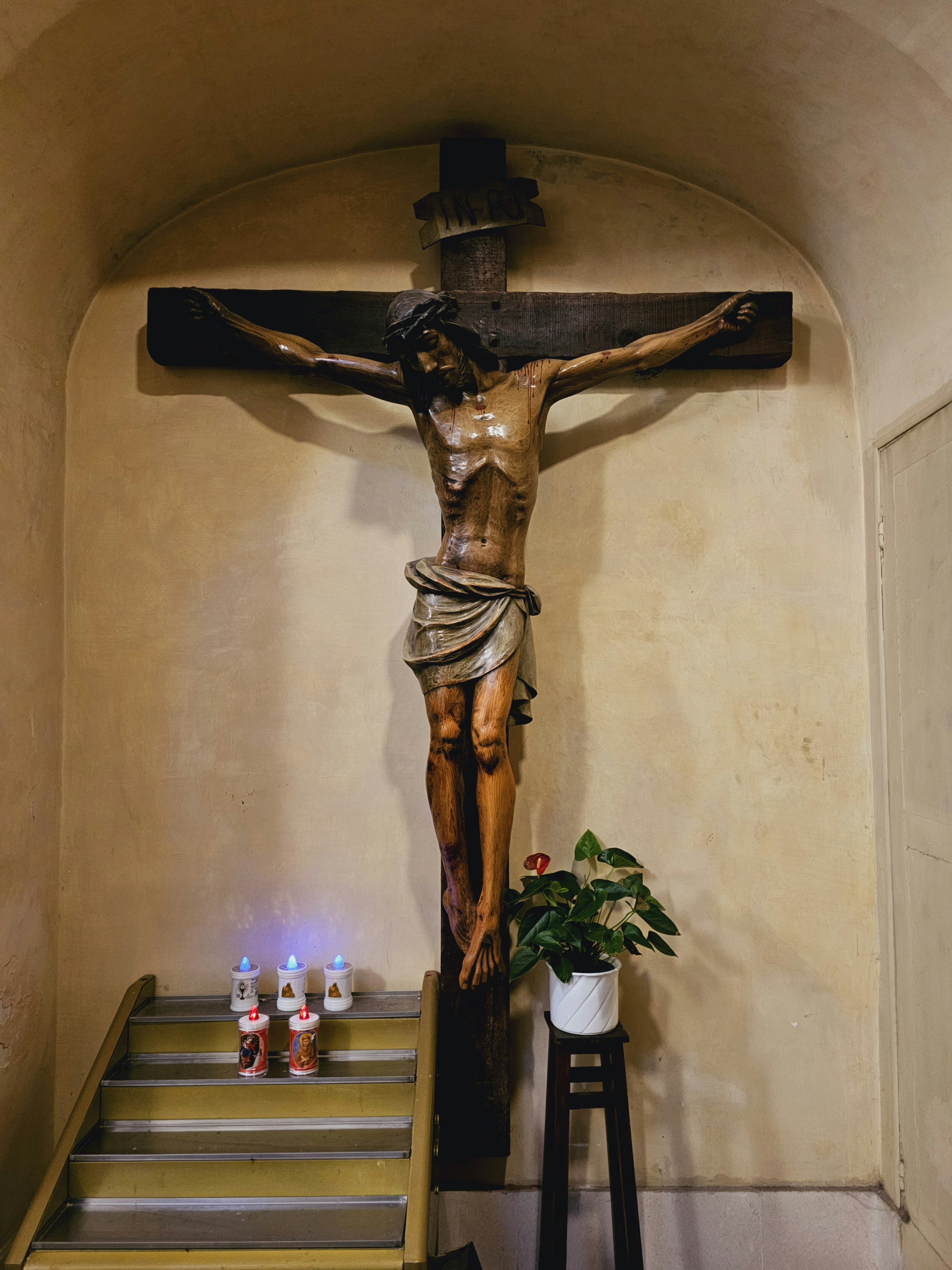 Photo by alaamclicks