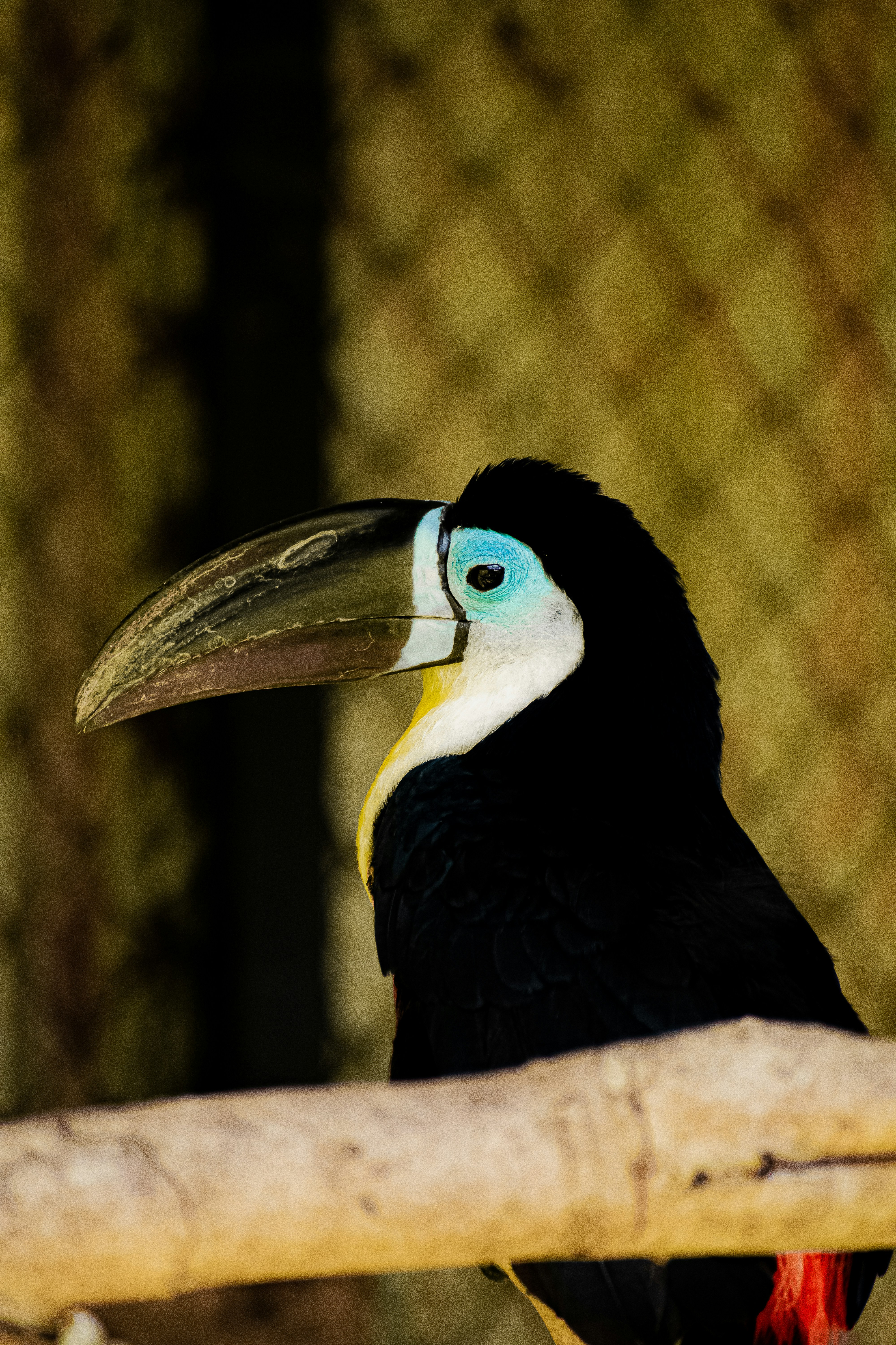 Photo by keerthyvassan6696