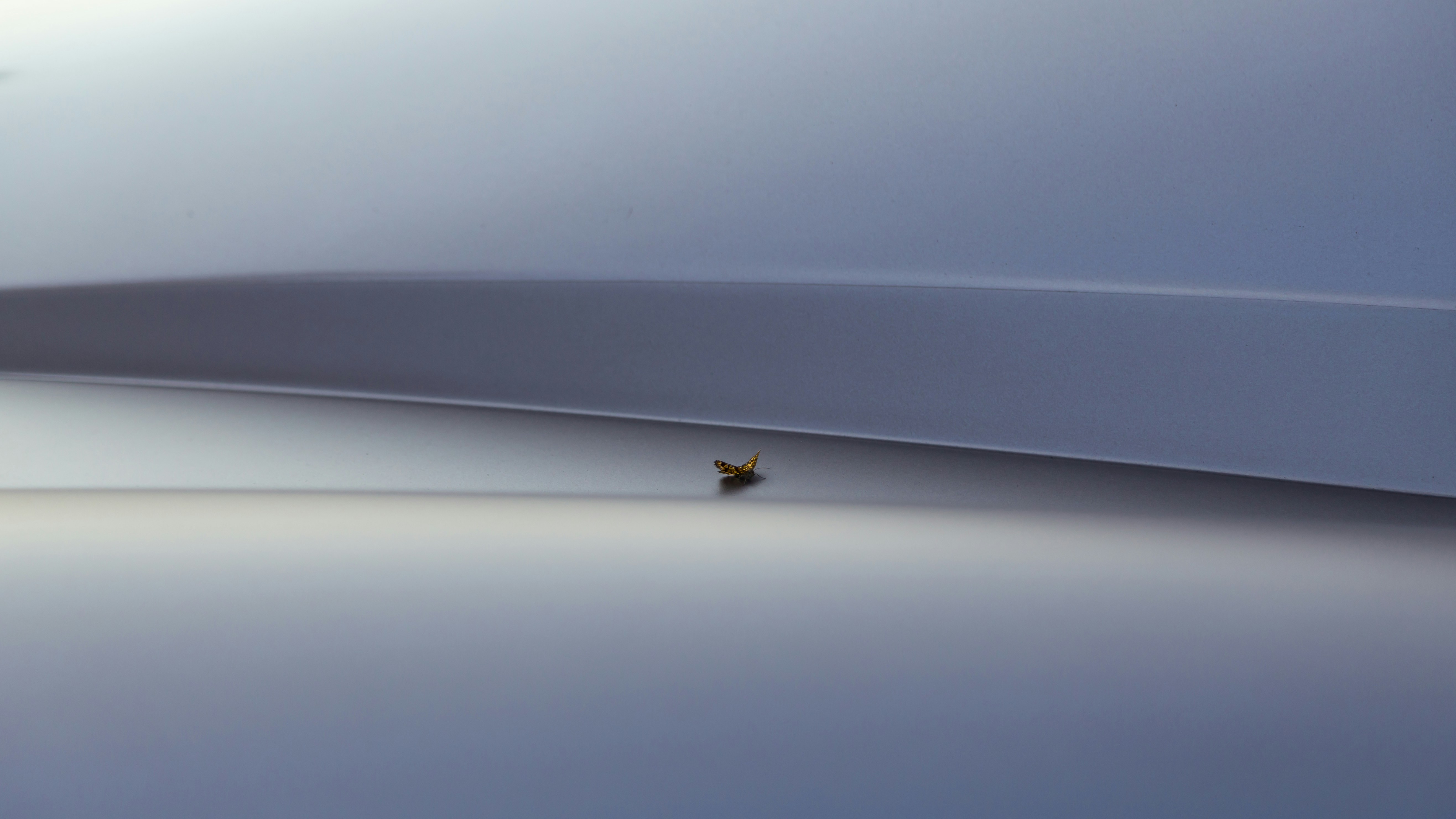 Photo by quentin_martinez