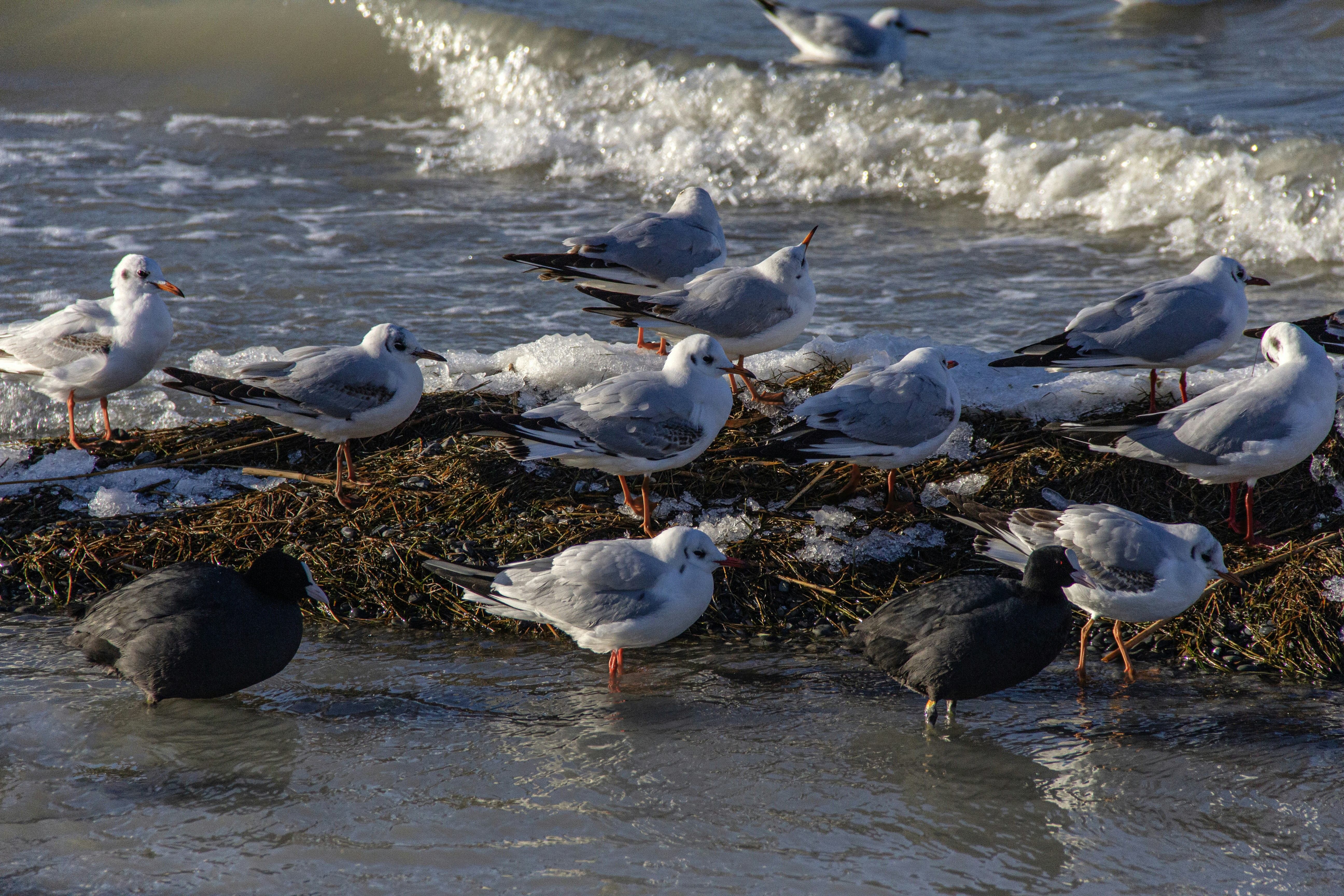 Photo by stepan_konev