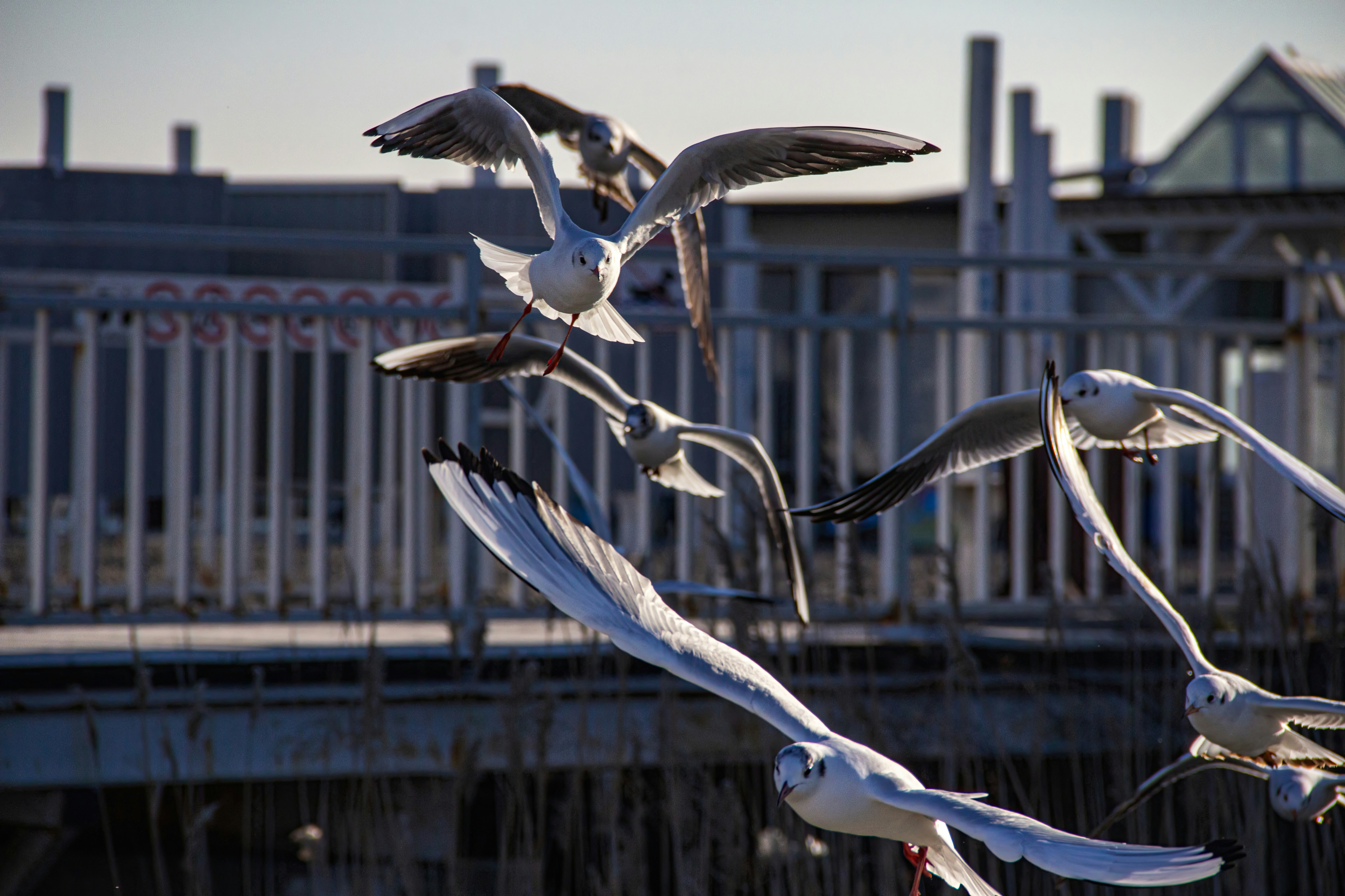 Photo by stepan_konev