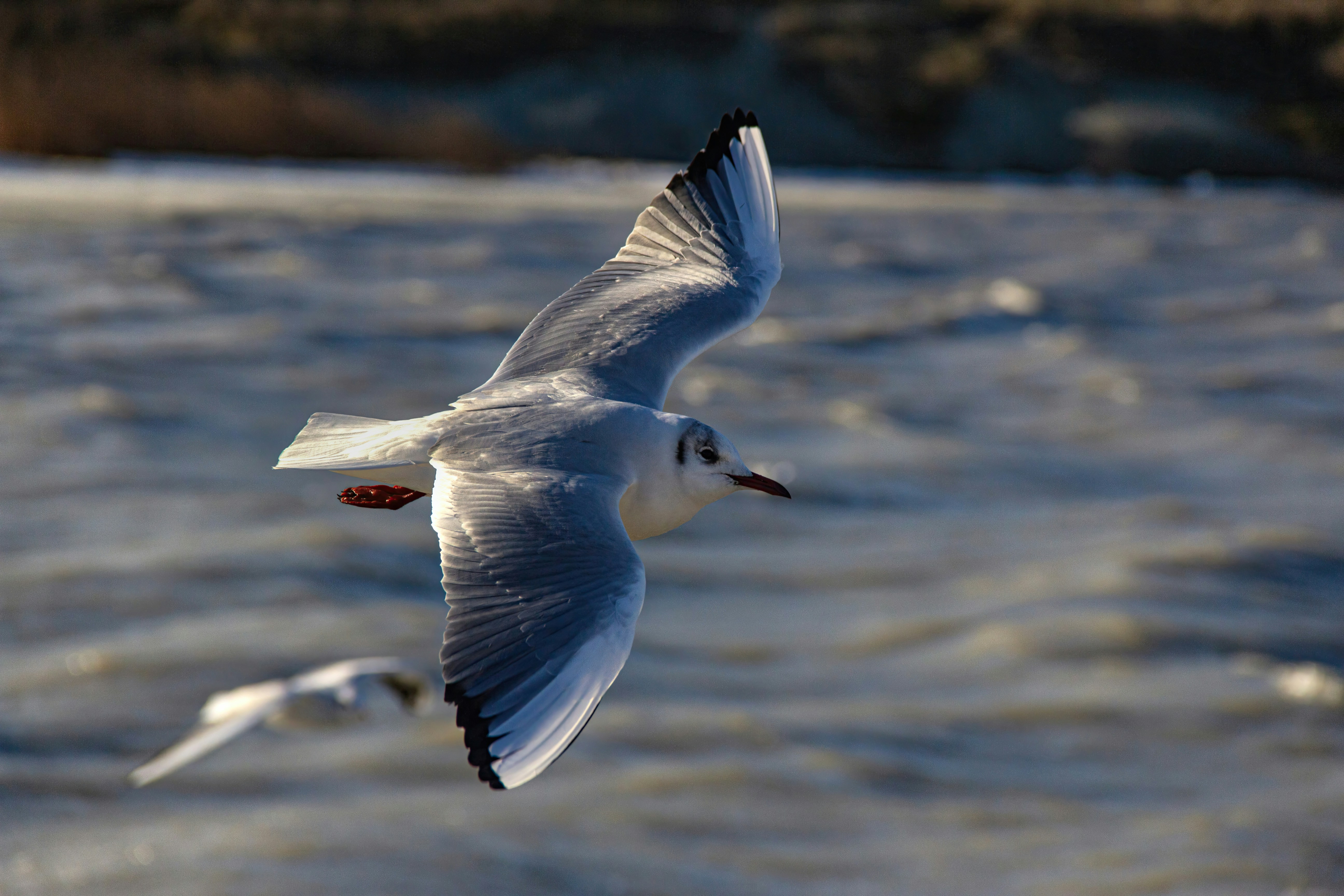 Photo by stepan_konev