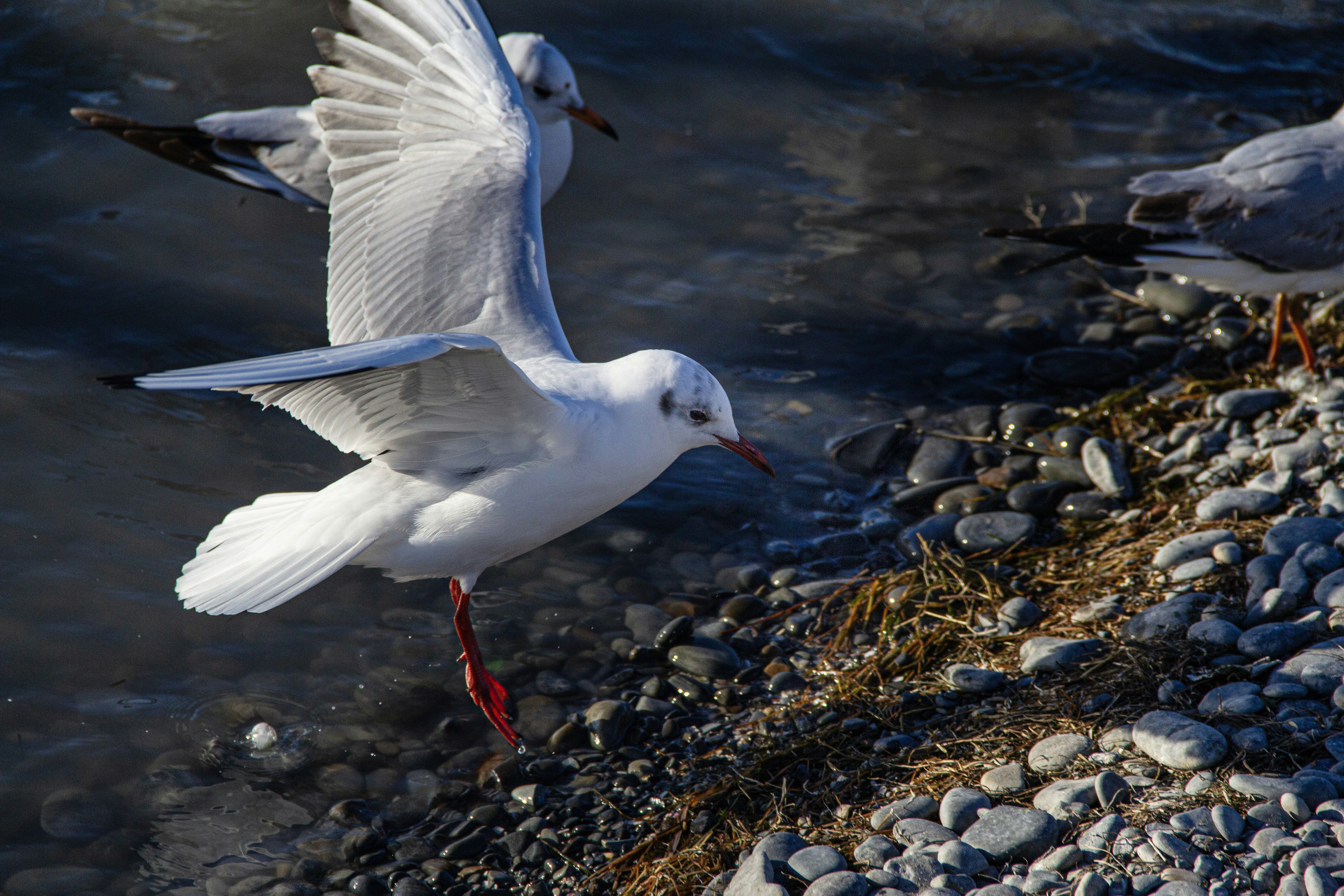 Photo by stepan_konev