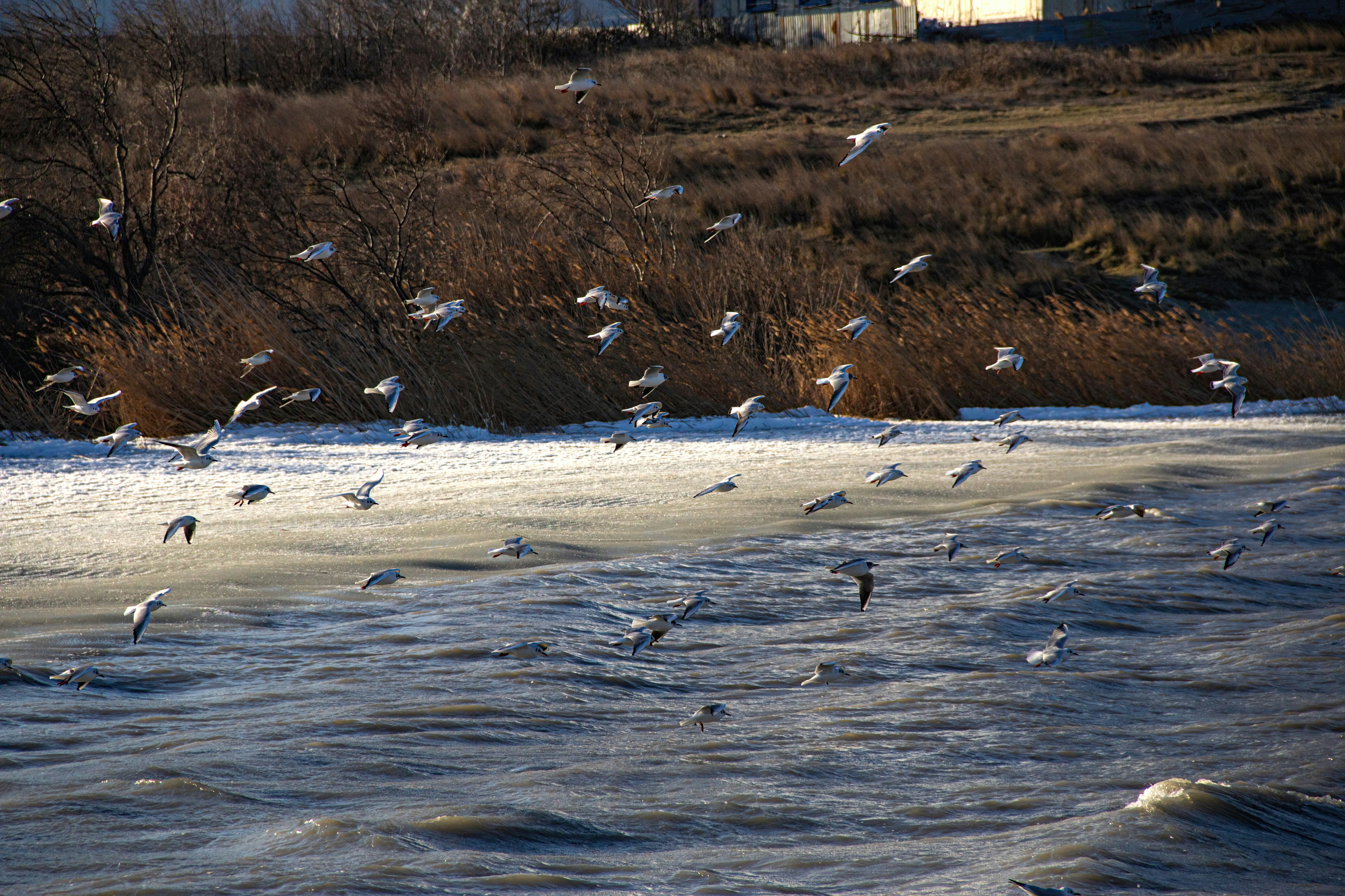 Photo by stepan_konev