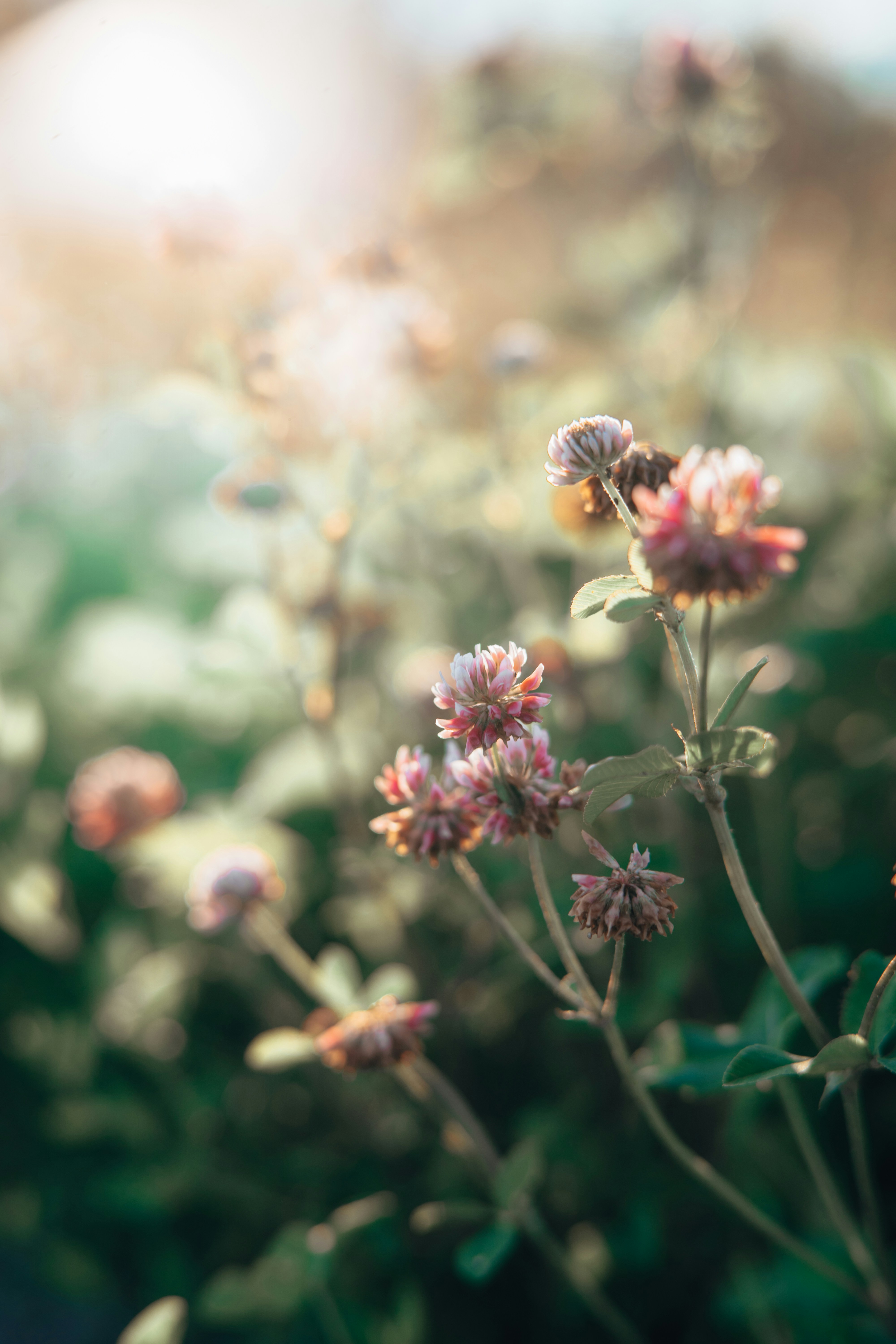 Photo by anamnesis33