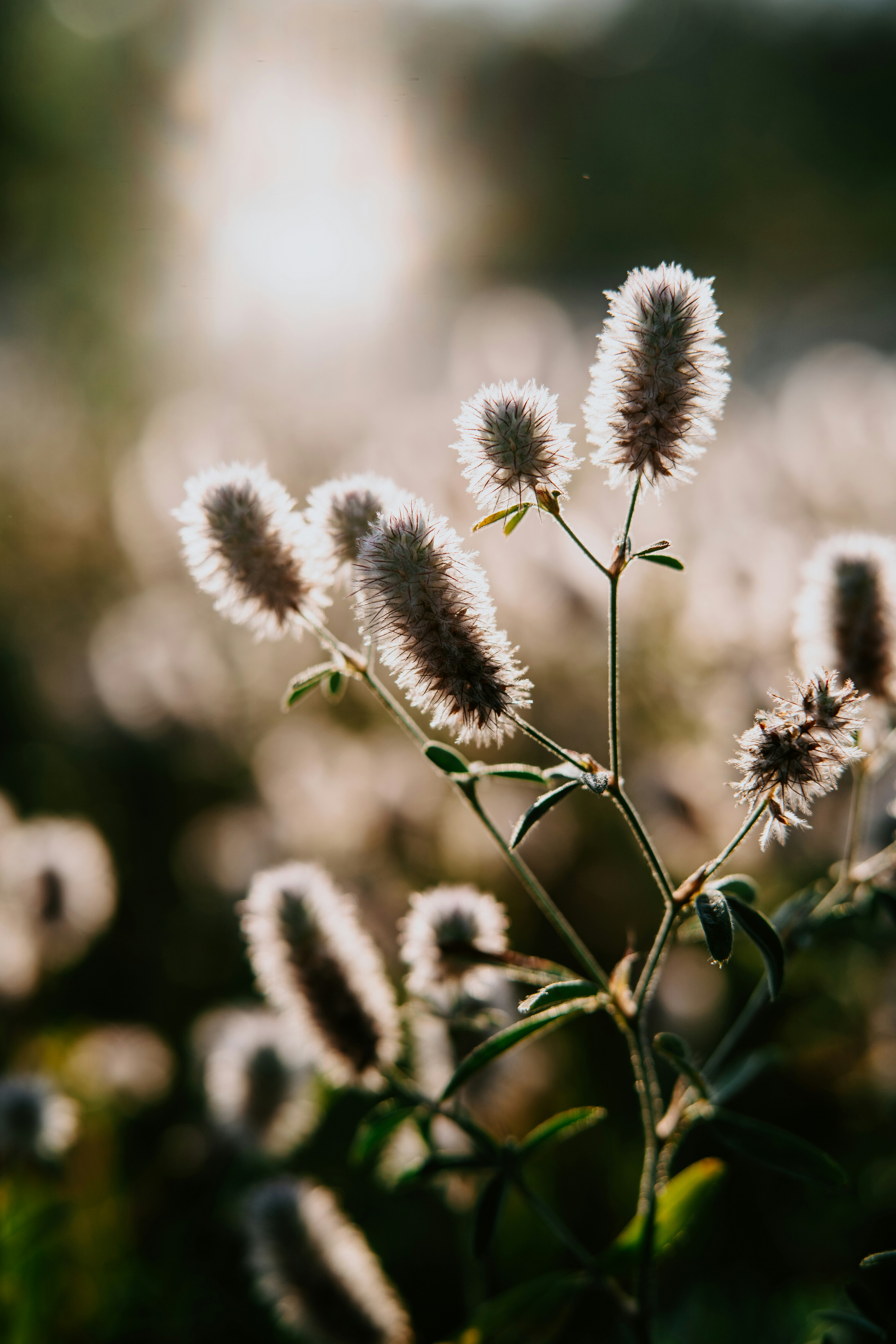 Photo by anamnesis33