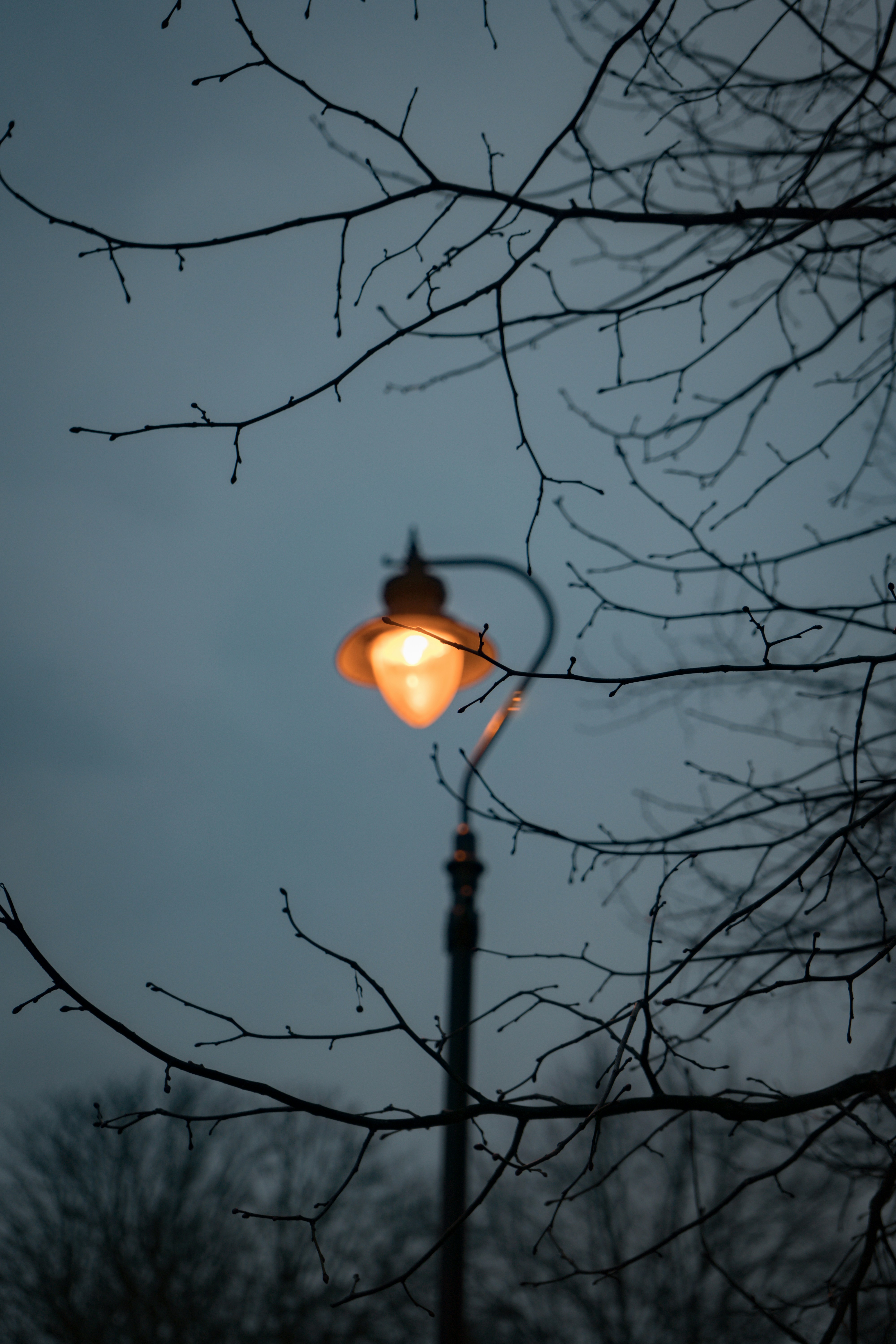 Photo by samuel_hagger