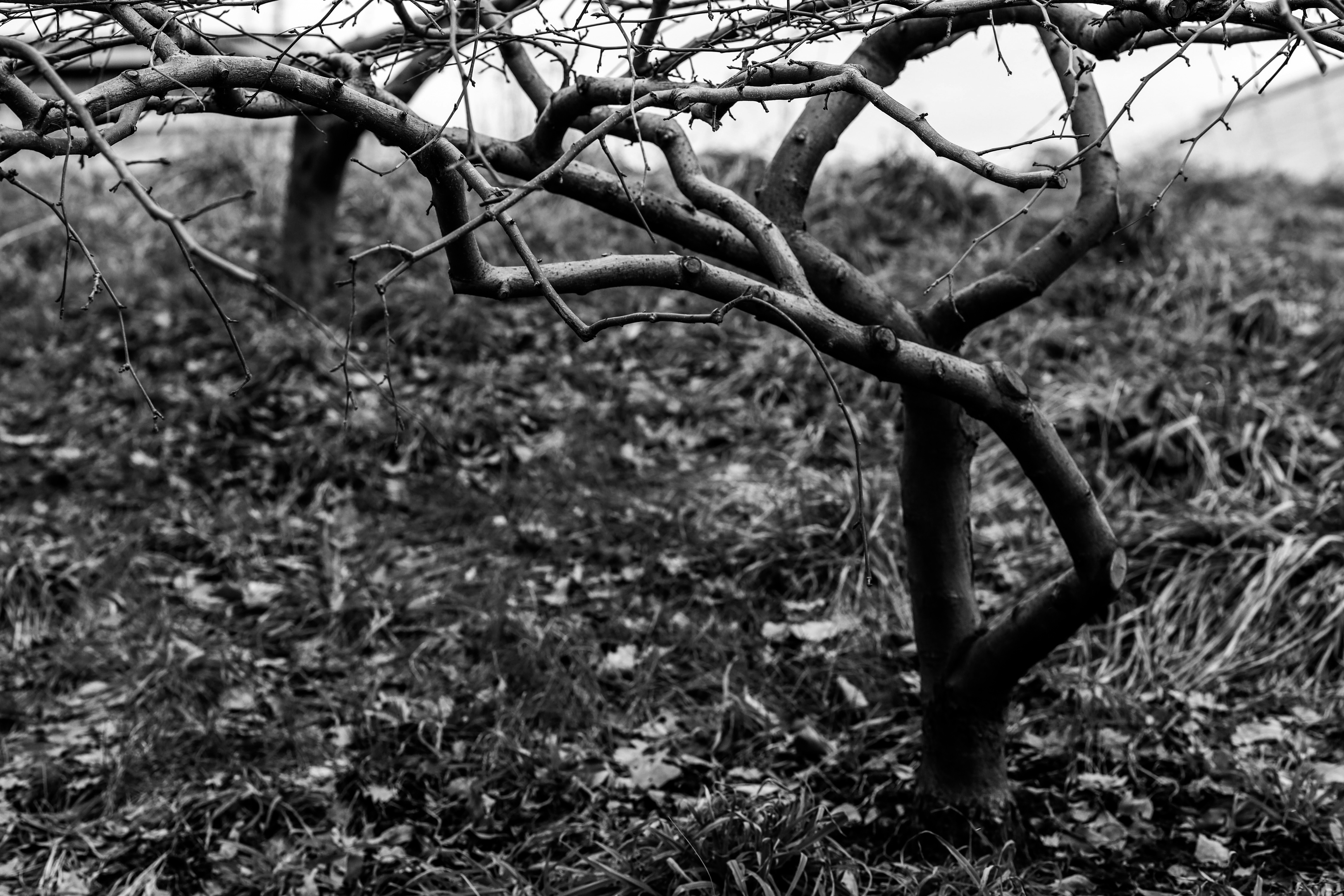 Photo by trofimova_photographer