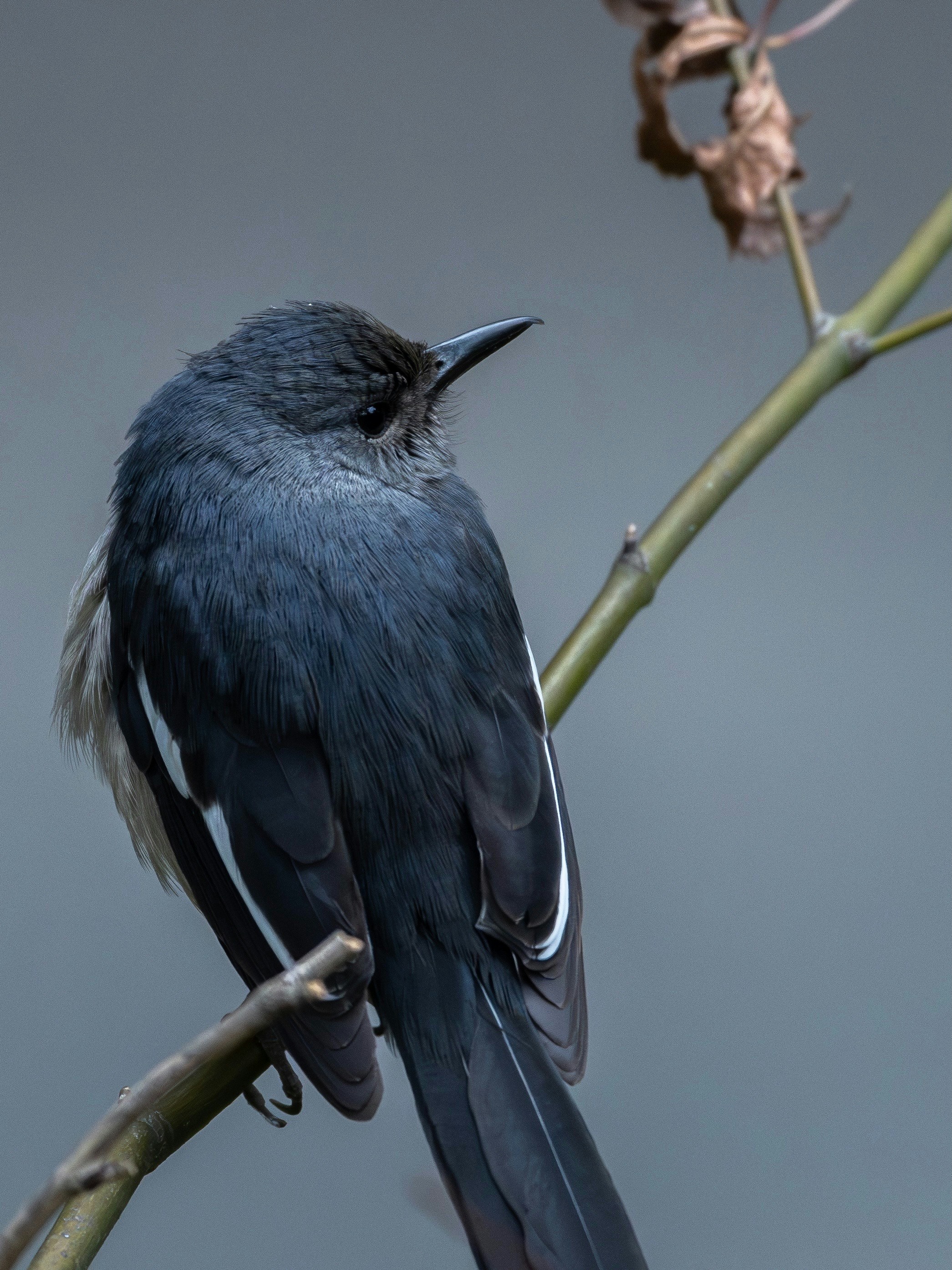 Photo by briadorothy