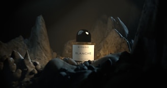 A bottle of perfume sitting on top of a pile of rocks