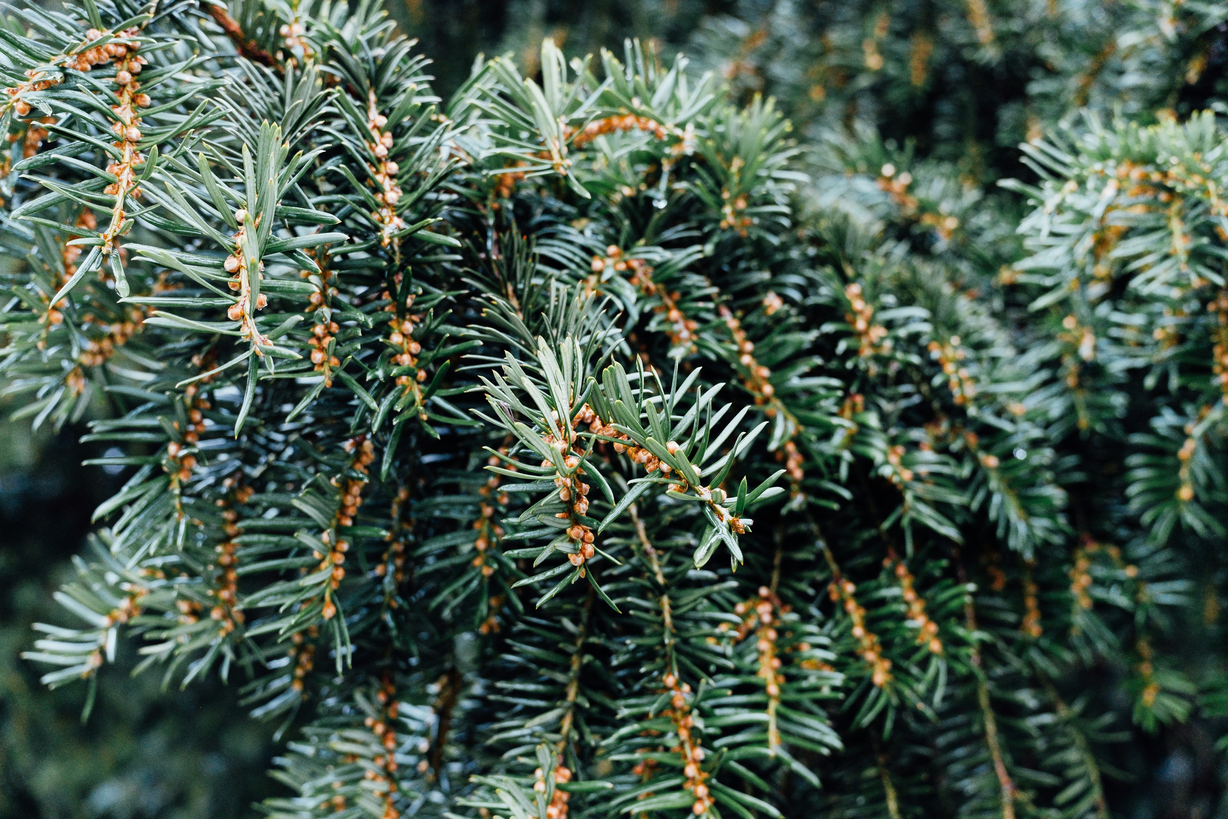 Photo by markuswinkler