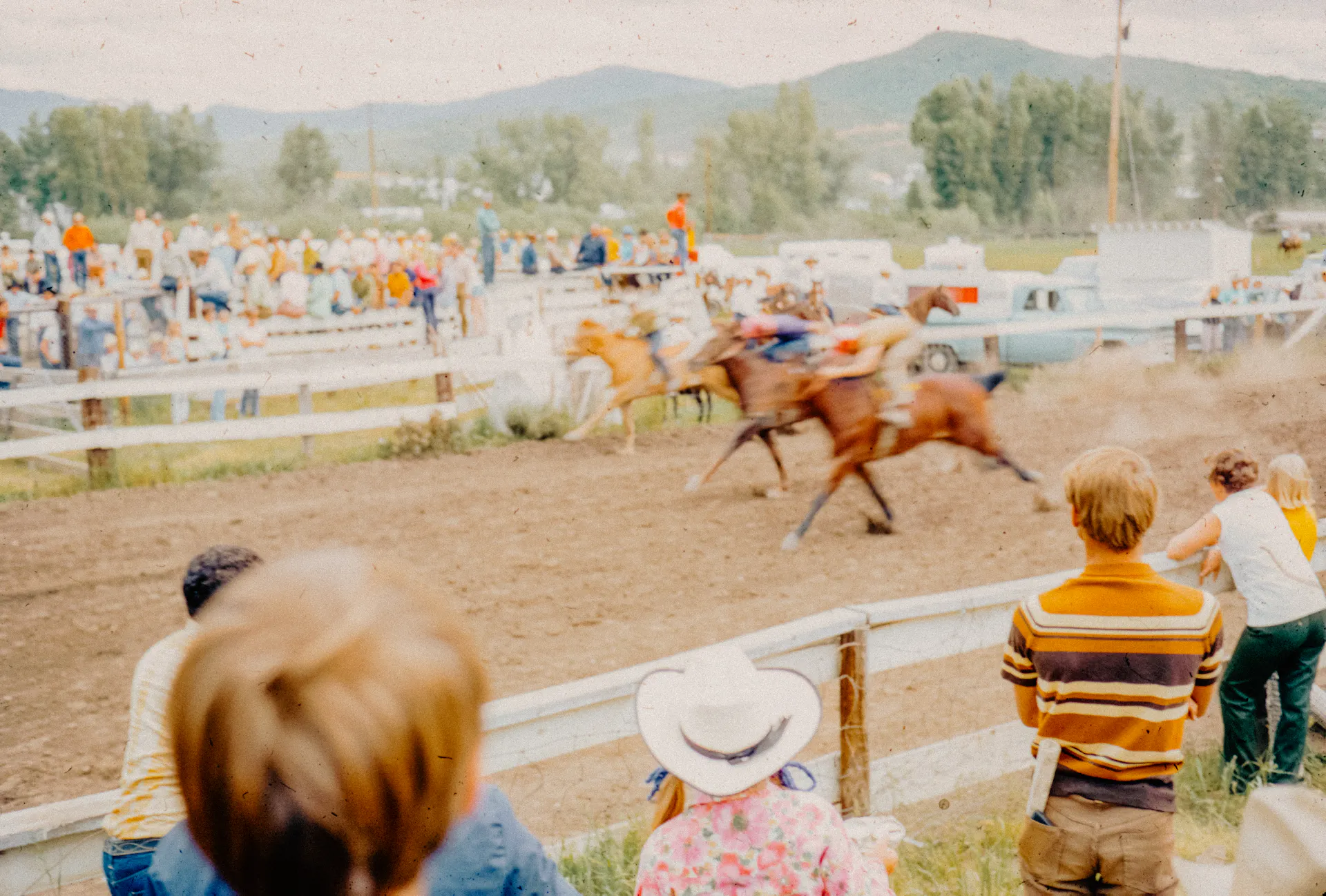 Darwin Cup Day 2034 countdown header photo