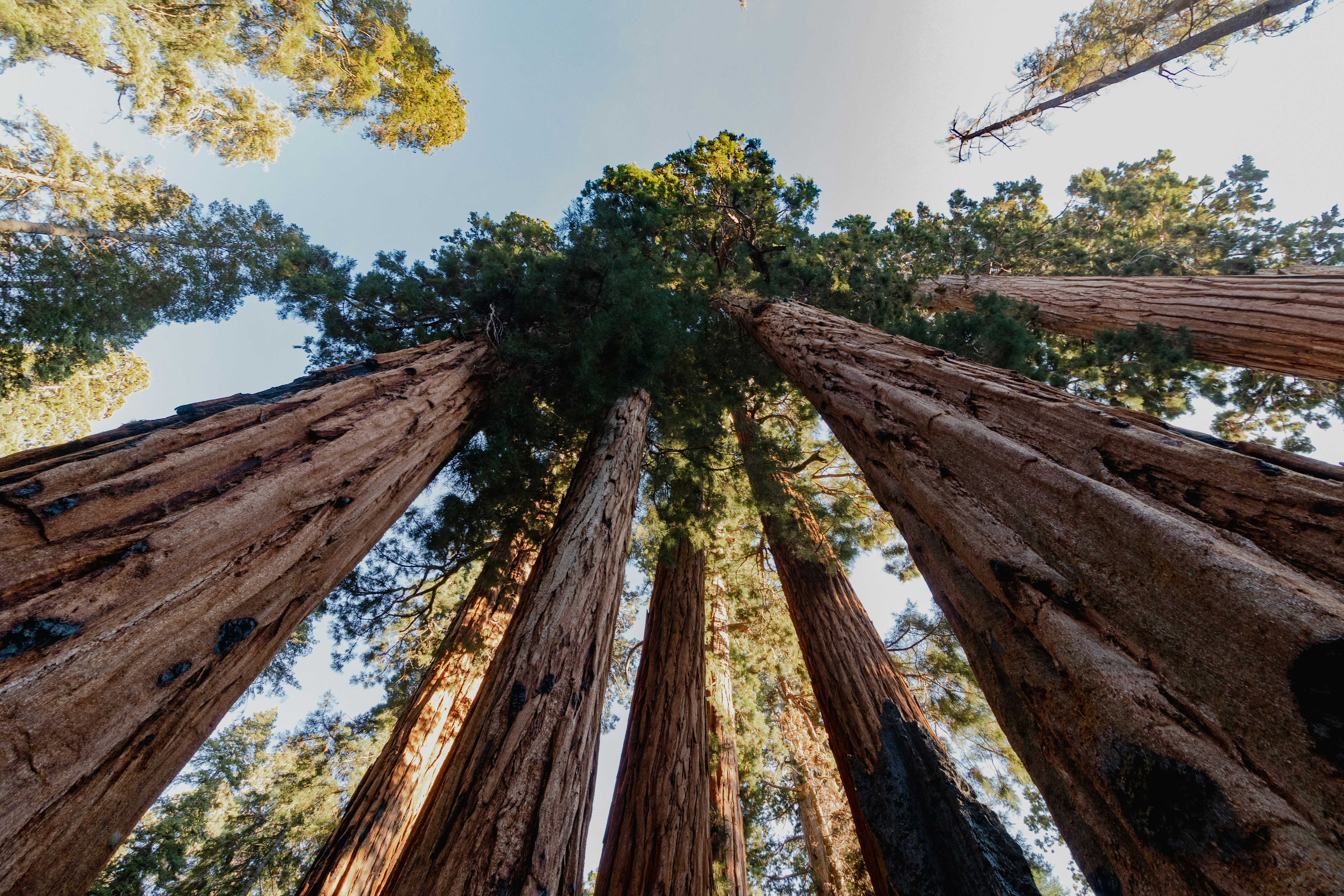 Best Disposable Email Services Compared: Which One to Choose?